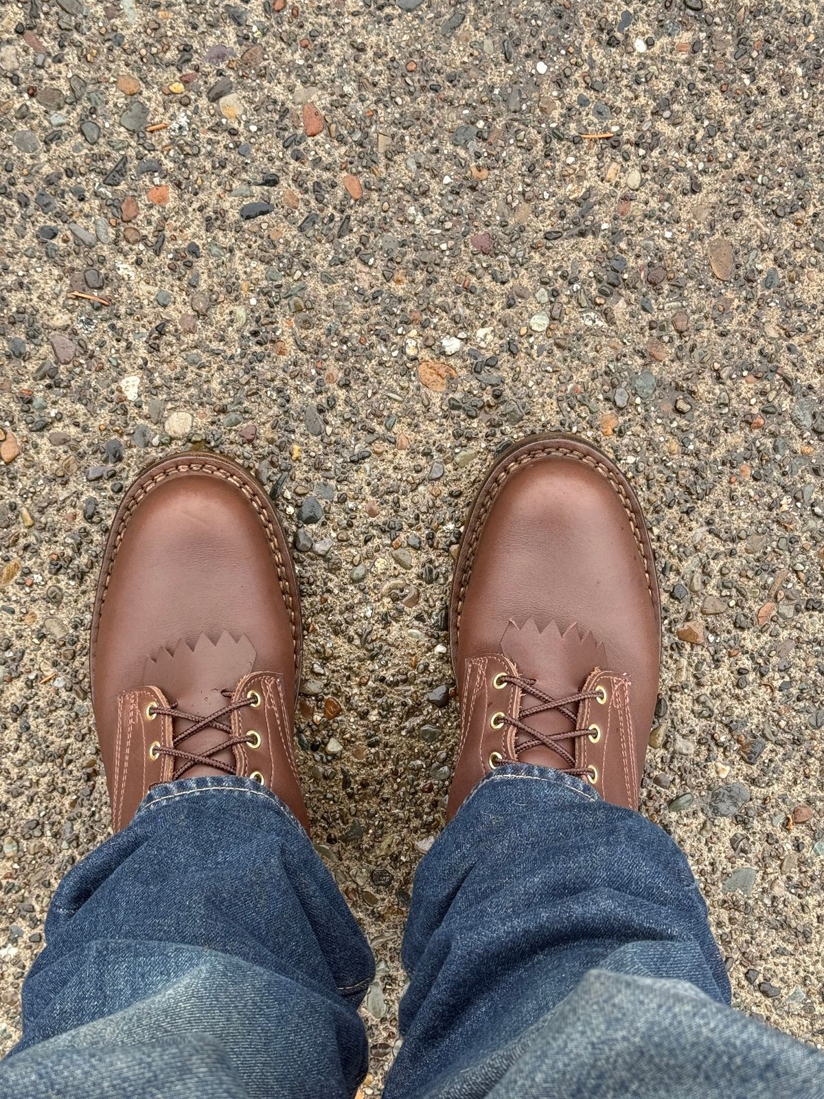 Photo by LeatherNut509 on November 2, 2024 of the Frank's Boots Front Range in Seidel Walnut Oil Tan.