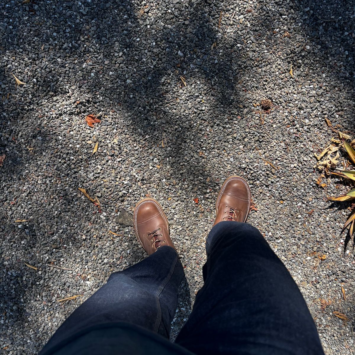 Photo by Skinnylegend on July 29, 2025 of the Rolling Dub Trio Roots in Similar Brown Horsebutt #1010.