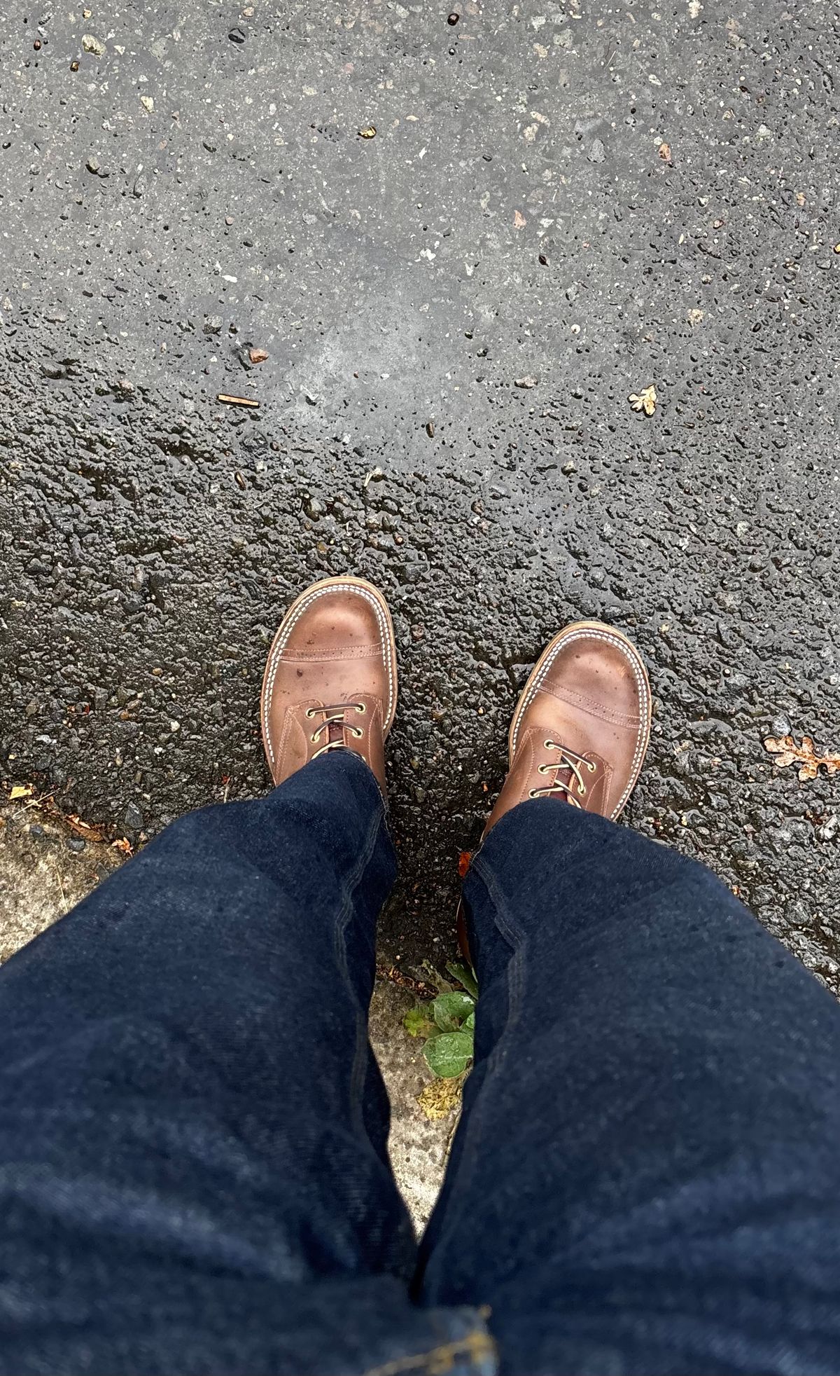 Photo by Skinnylegend on October 2, 2025 of the Rolling Dub Trio Roots in Similar Brown Horsebutt #1010.
