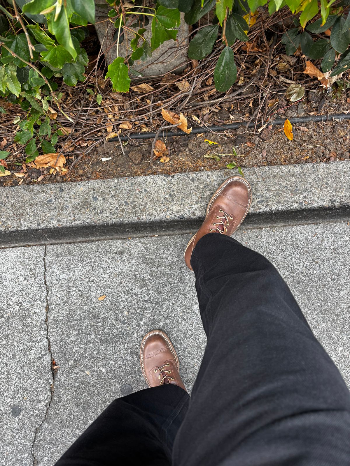 Photo by Skinnylegend on October 9, 2025 of the Rolling Dub Trio Roots in Similar Brown Horsebutt #1010.