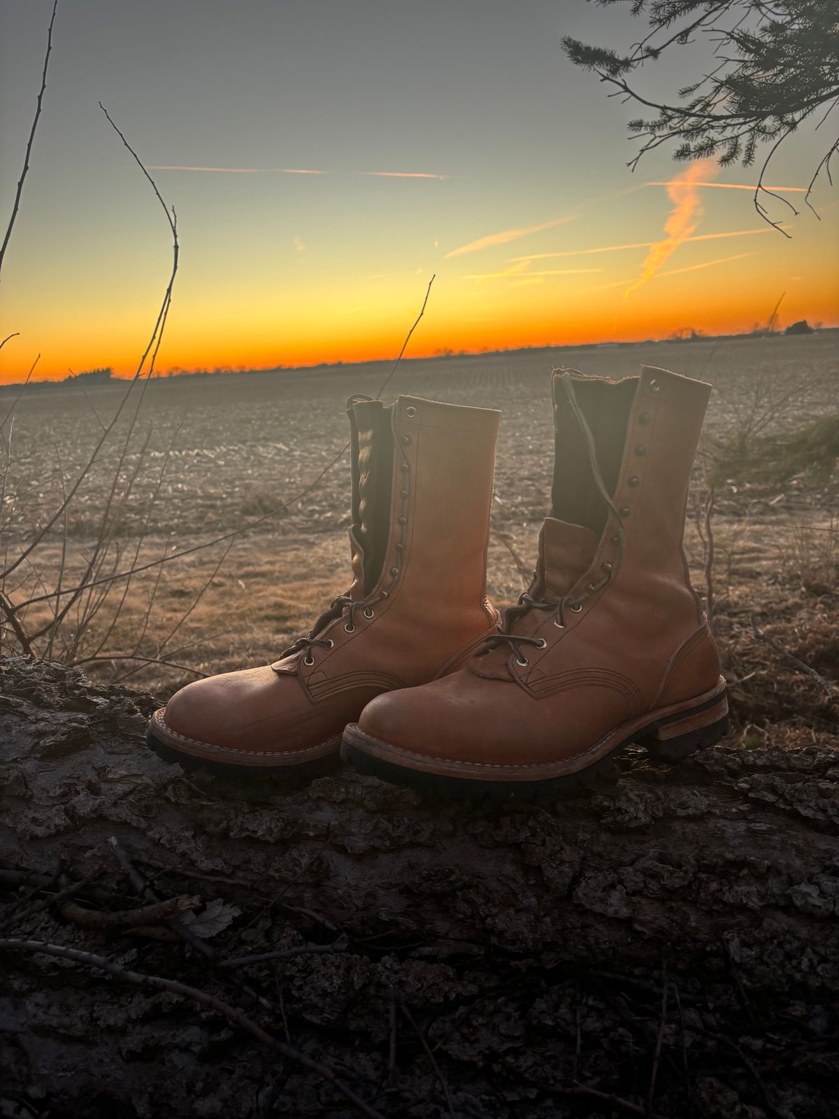 Photo by isellpills on February 28, 2026 of the Nicks DomePro in Horween Light Natural Dublin.