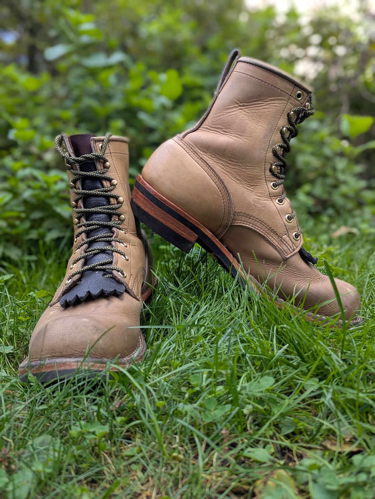 Photo by Pedro_Carolino on October 8, 2025 of the Nicks MTO in Sage Chromepak.