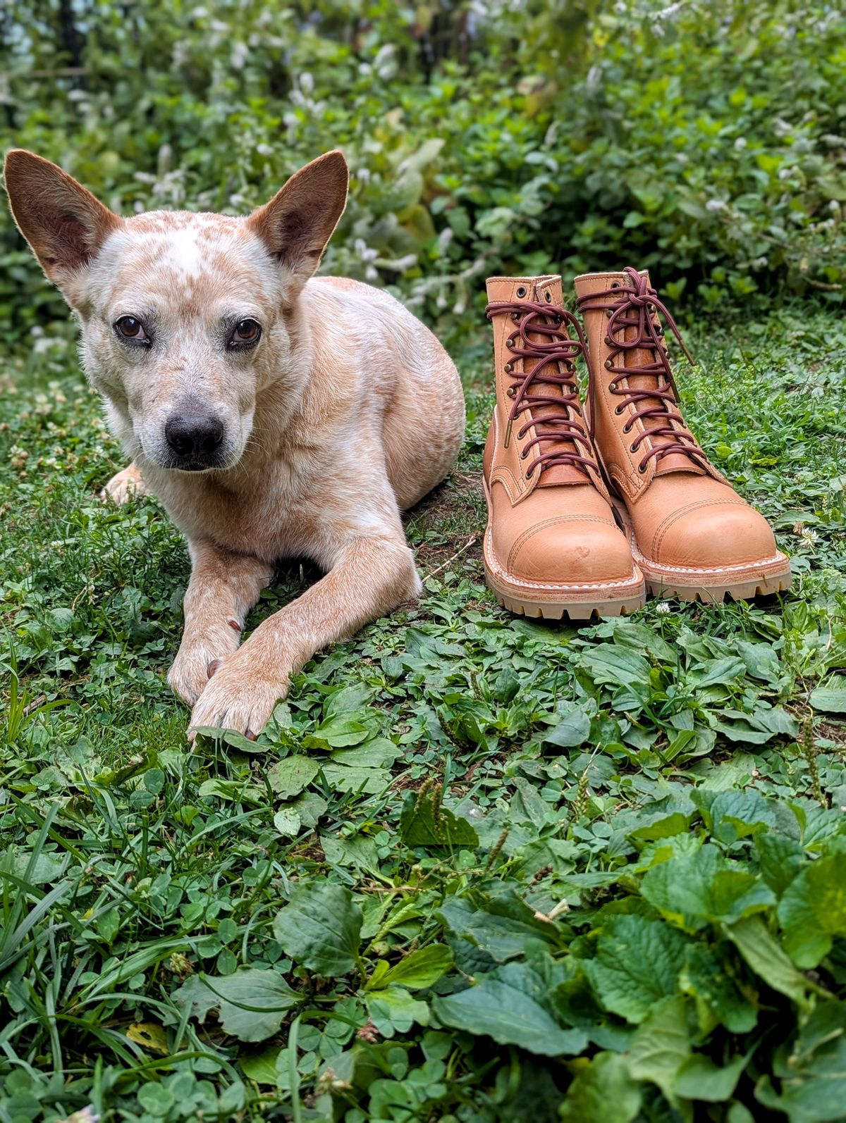 Photo by Pedro_Carolino on August 17, 2025 of the Nicks MTO in Horween Light Natural Dublin.