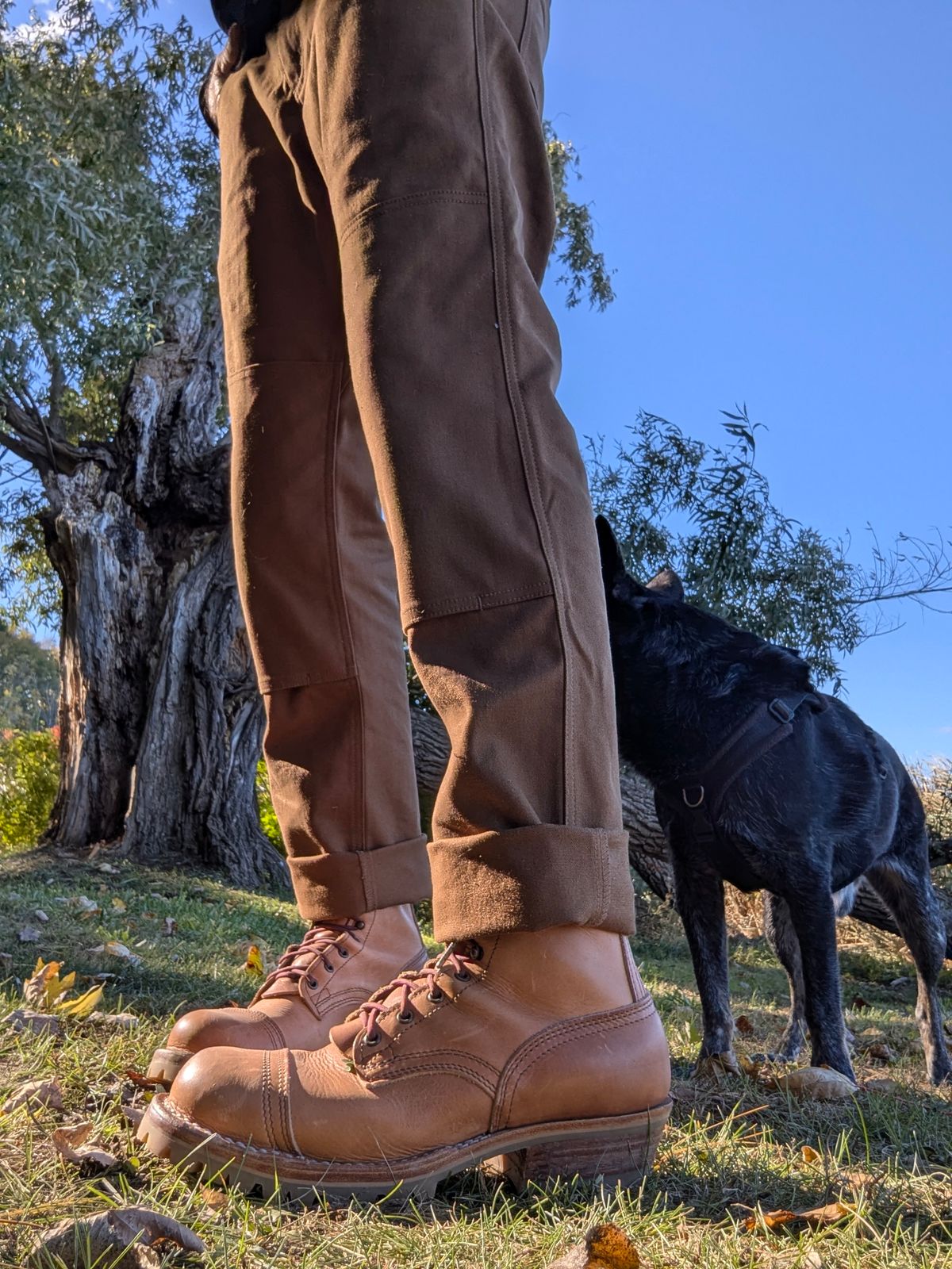 Photo by Pedro_Carolino on October 16, 2025 of the Nicks MTO in Horween Light Natural Dublin.