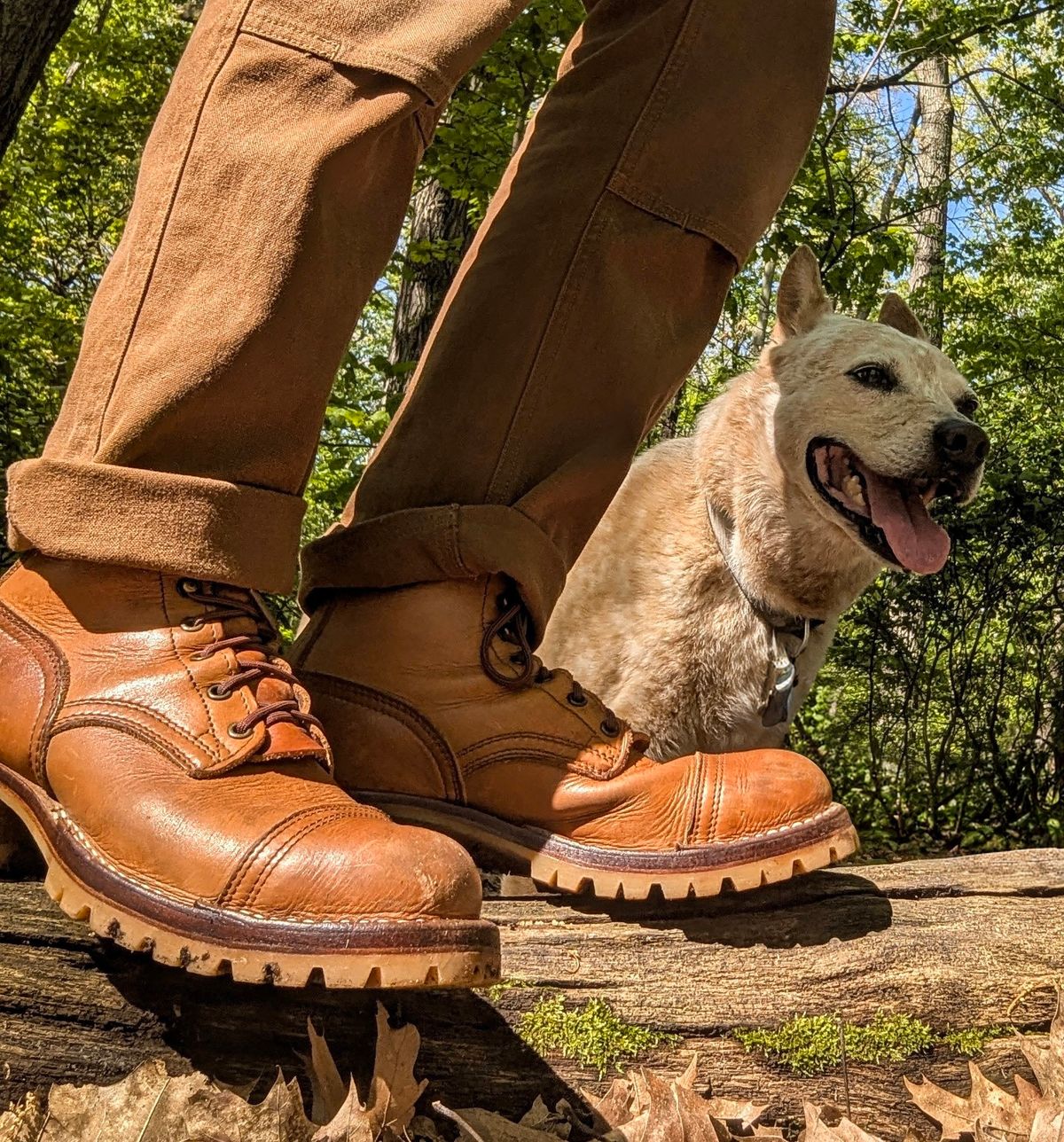 Photo by Pedro_Carolino on May 17, 2026 of the Nicks MTO in Horween Light Natural Dublin.