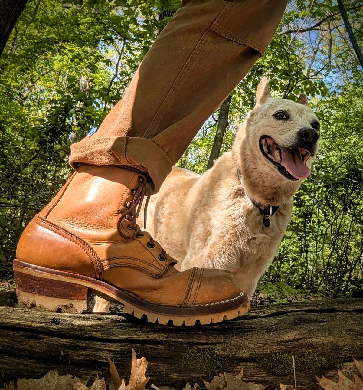 Photo by Pedro_Carolino on May 17, 2026 of the Nicks MTO in Horween Light Natural Dublin.