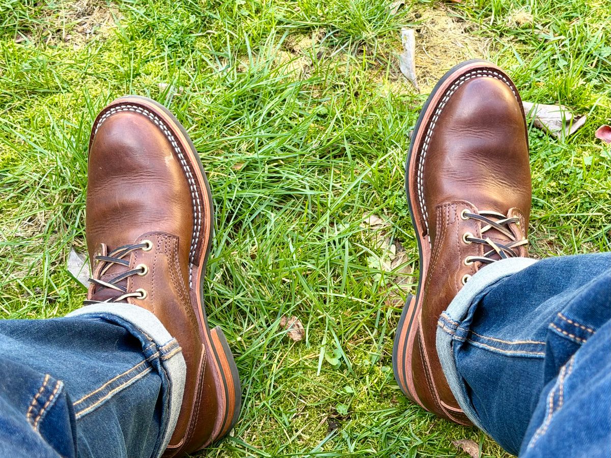 Photo by iggyskier on March 2, 2026 of the Nicks Parkhurst V3 in Italian Brown Cypress.