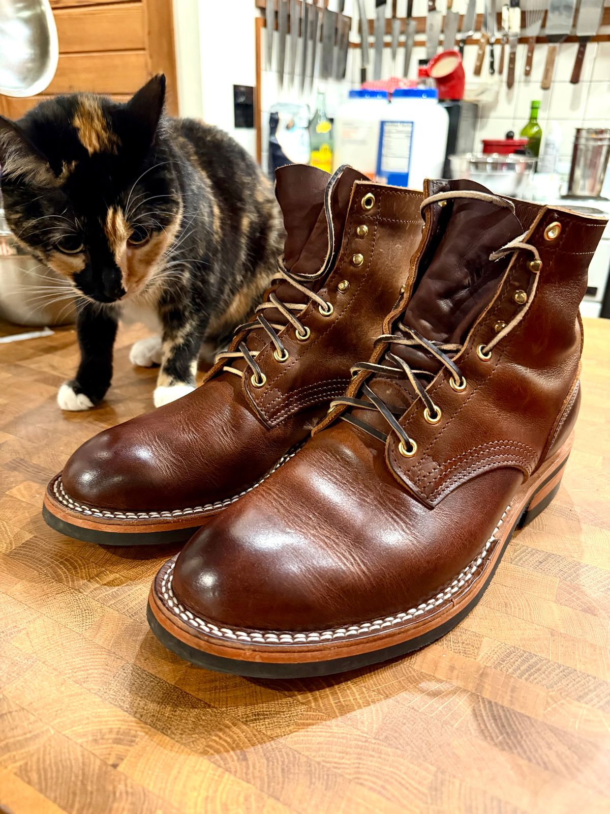 Photo by iggyskier on March 6, 2026 of the Nicks Parkhurst V3 in Italian Brown Cypress.