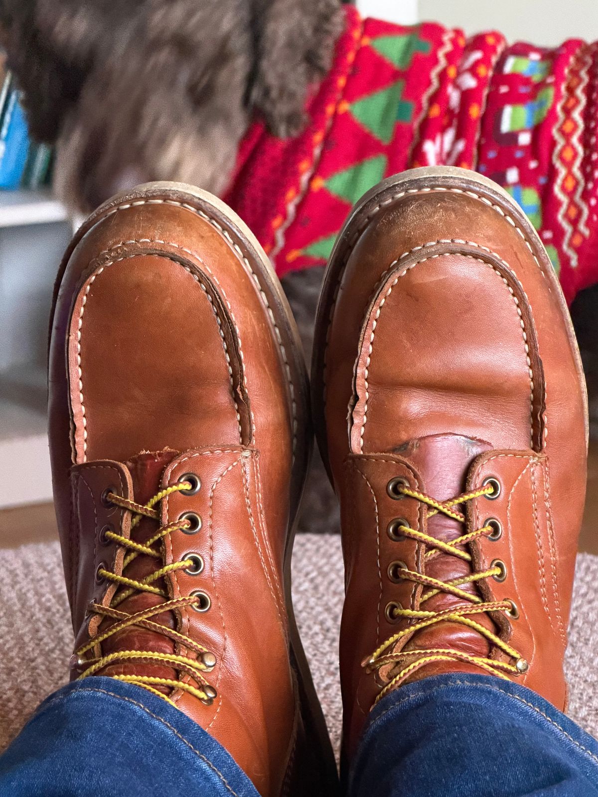 Photo by SLB42 on December 20, 2025 of the White's Perry 8" Select in Seidel & Tobacco Stampede.