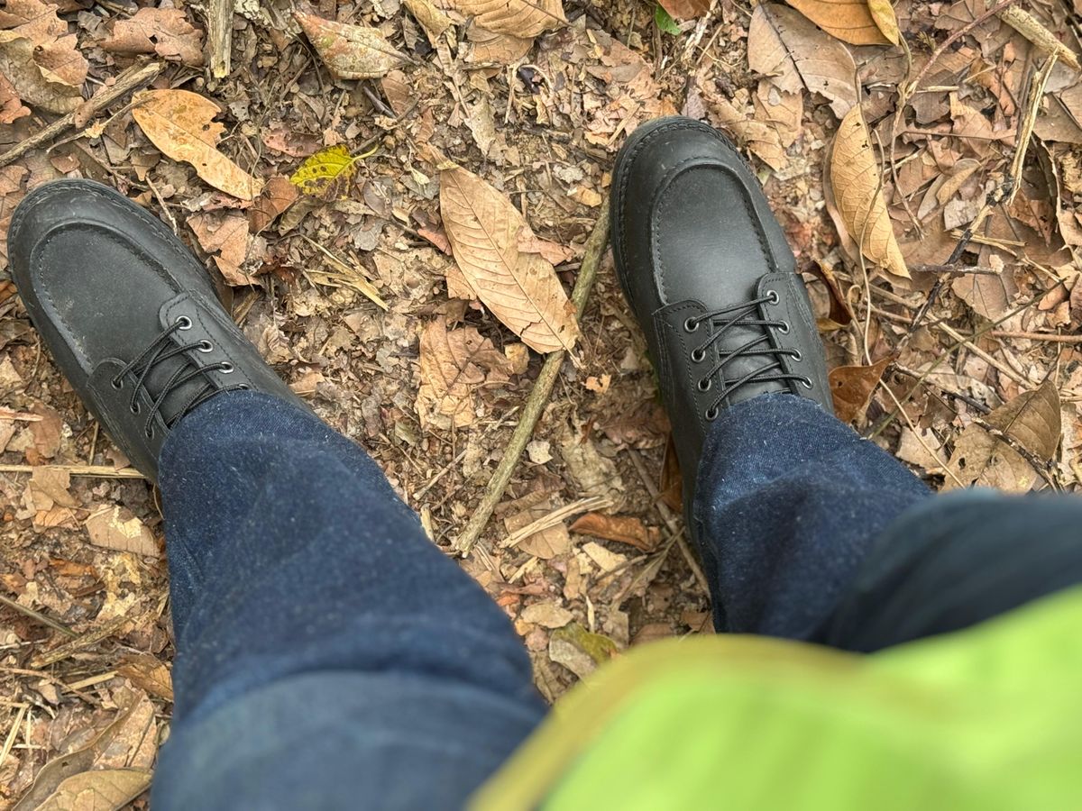 Photo by GOGOGO97 on July 3, 2025 of the Red Wing 6-Inch Classic Moc in S.B. Foot Amber Harness.