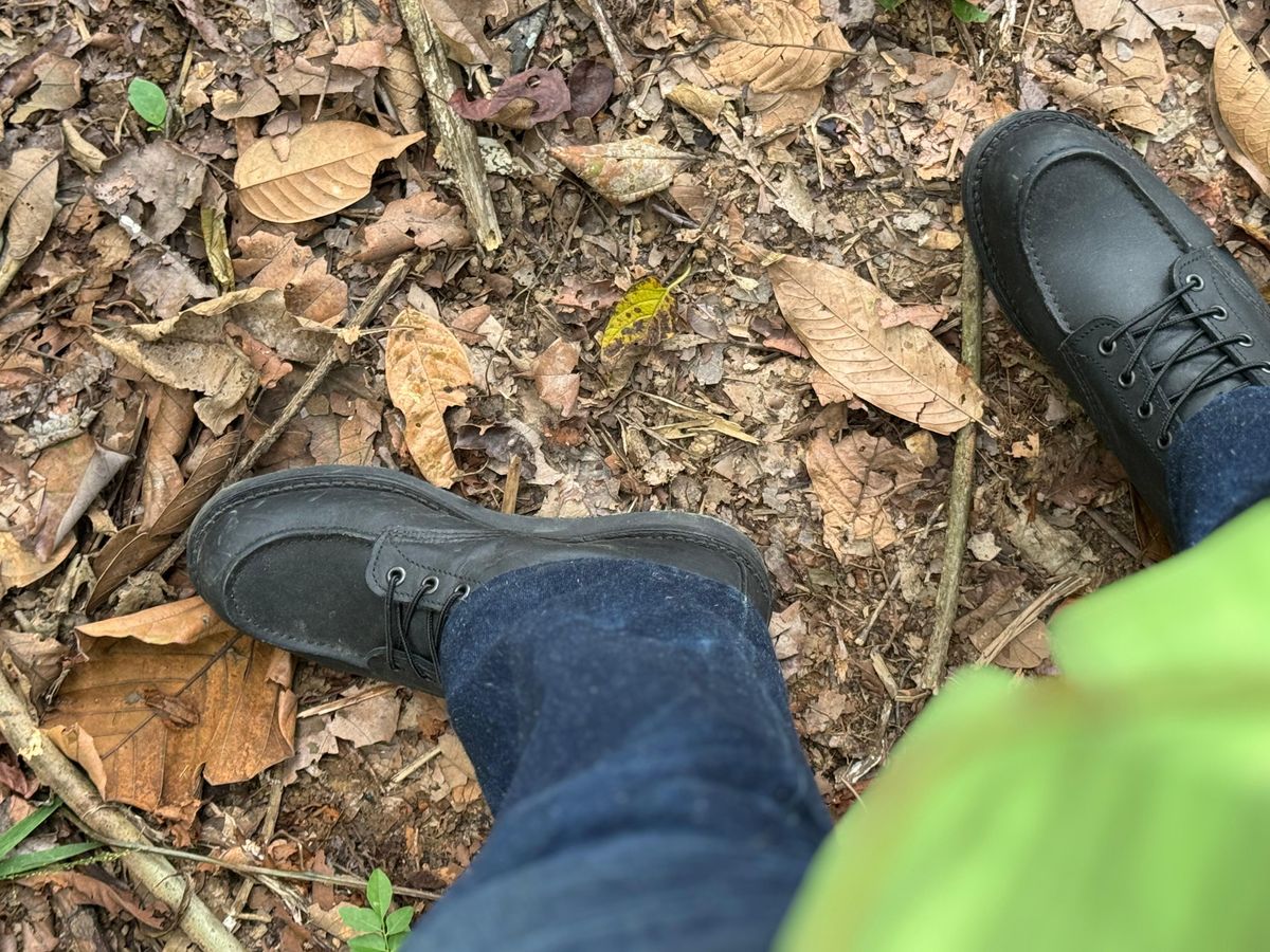 Photo by GOGOGO97 on July 3, 2025 of the Red Wing 6-Inch Classic Moc in S.B. Foot Amber Harness.