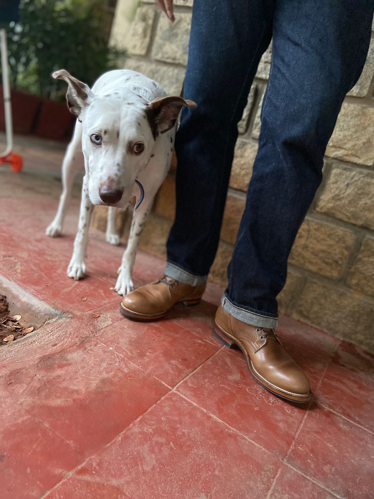 Photo by Rmtm on October 22, 2024 of the Viberg Service Boot in Horween Natural Chromexcel.