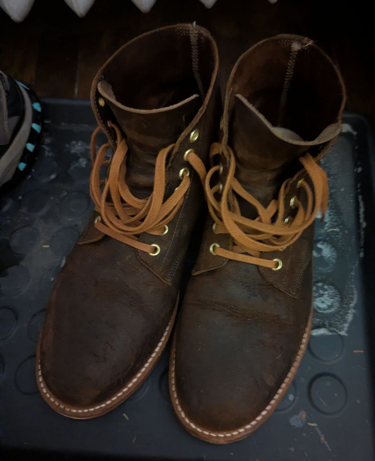 Photo by pilechko on January 26, 2026 of the Oak Street Bootmakers Field Boot in C.F. Stead Snuff Waxy Mohawk.