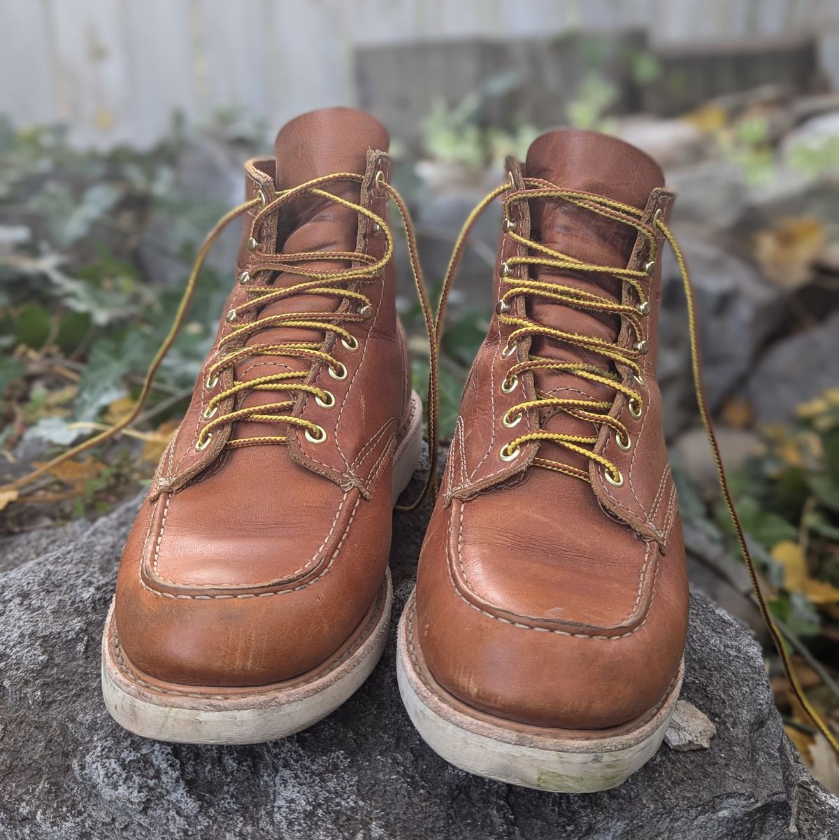 Photo by duffetboots on November 5, 2024 of the White's Perry 6" Select in Seidel Tobacco Stampede Roughout.