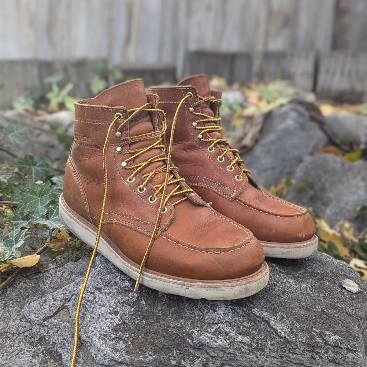 Photo by duffetboots on November 5, 2024 of the White's Perry 6" Select in Seidel Tobacco Stampede Roughout.