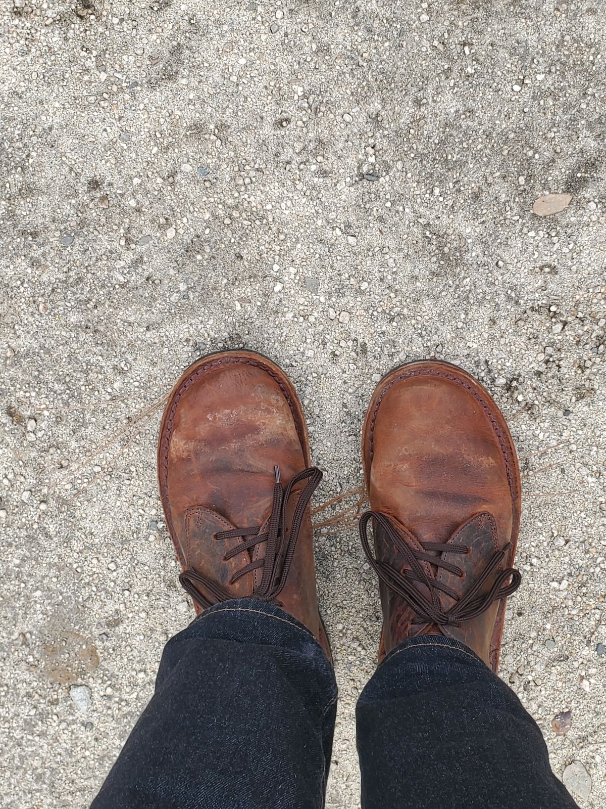 Photo by simontheflutist on February 18, 2026 of the Jim Green Barefoot Shoellie in Jim Green Bronco Brown.