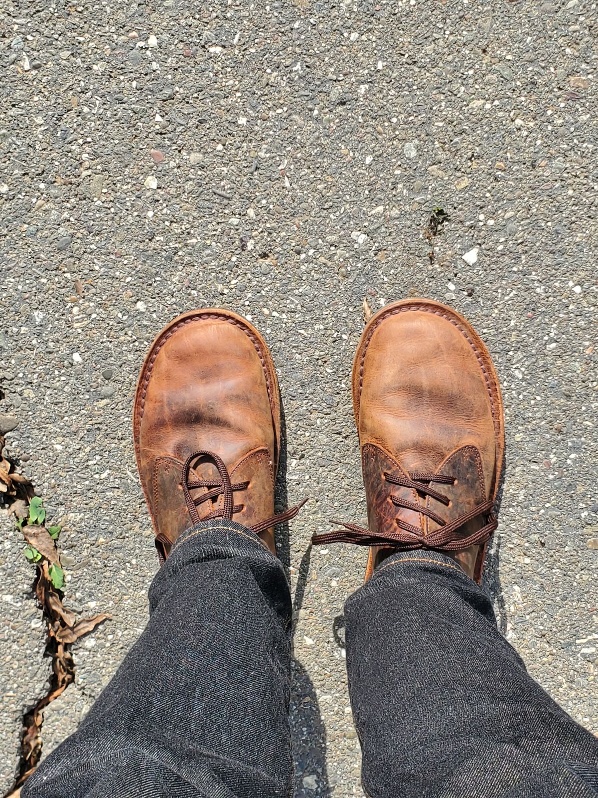 Photo by simontheflutist on January 31, 2026 of the Jim Green Barefoot Shoellie in Jim Green Bronco Brown.