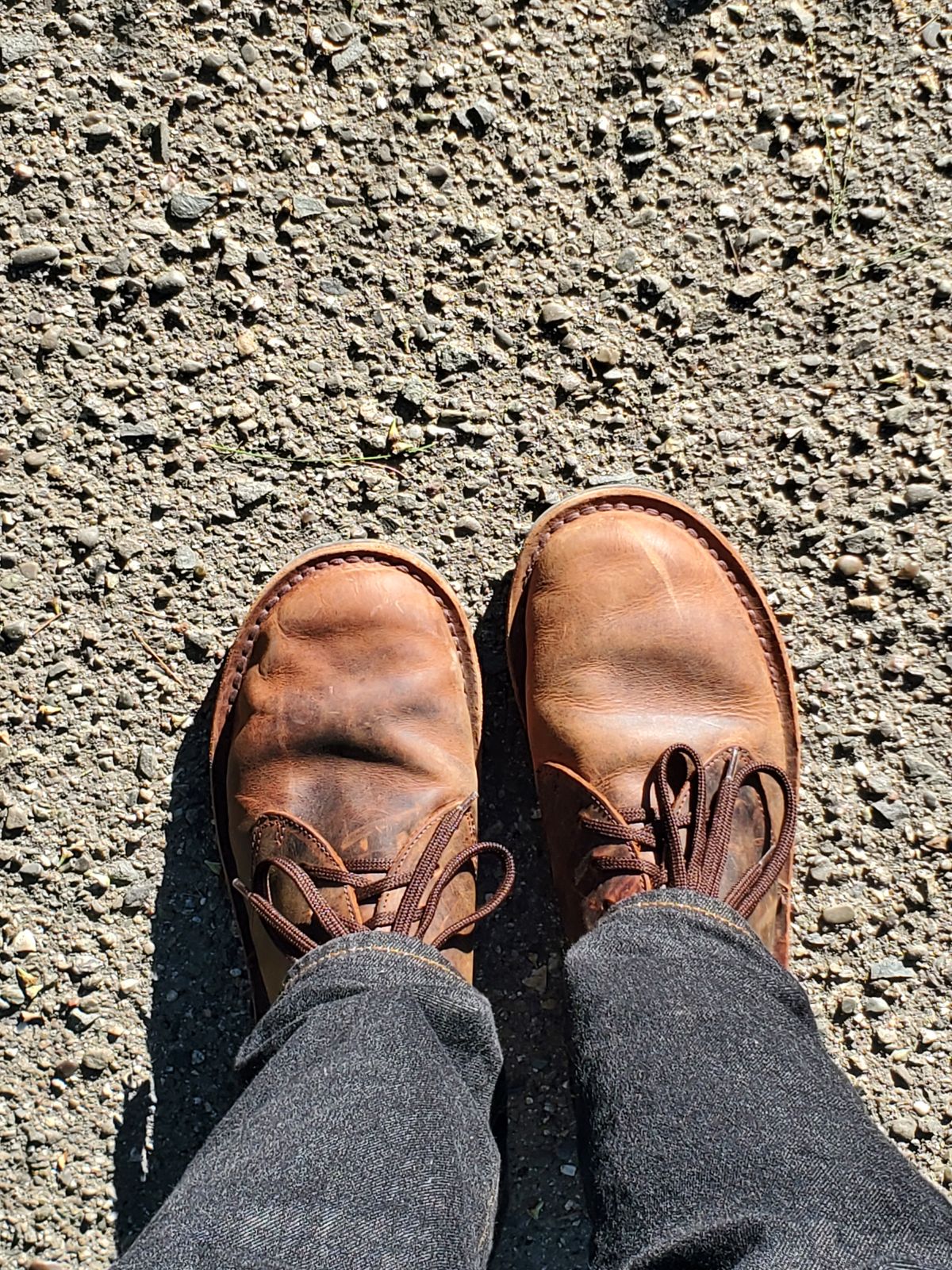 Photo by simontheflutist on January 24, 2026 of the Jim Green Barefoot Shoellie in Jim Green Bronco Brown.