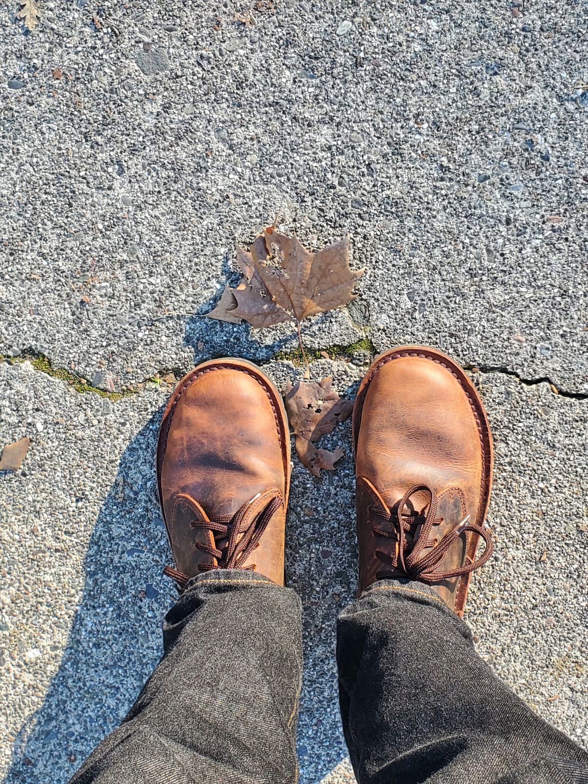 Photo by simontheflutist on January 15, 2026 of the Jim Green Barefoot Shoellie in Jim Green Bronco Brown.