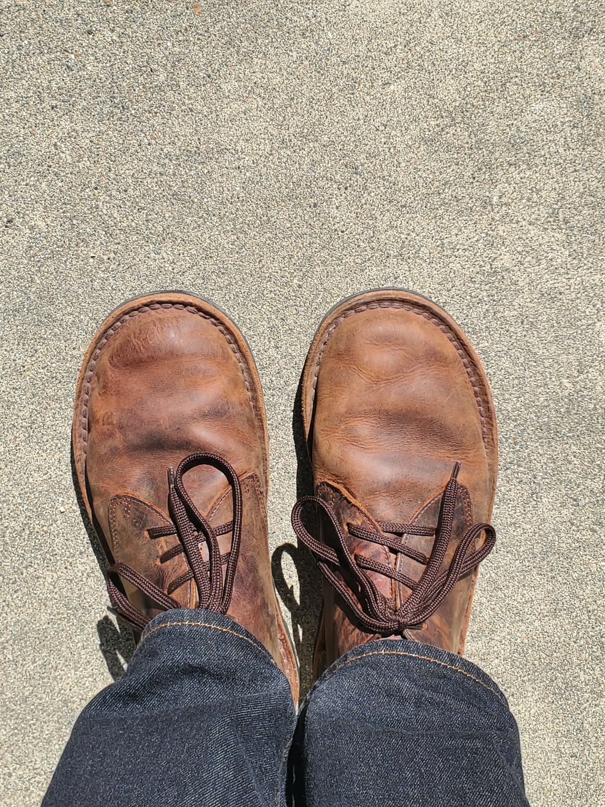 Photo by simontheflutist on March 9, 2026 of the Jim Green Barefoot Shoellie in Jim Green Bronco Brown.