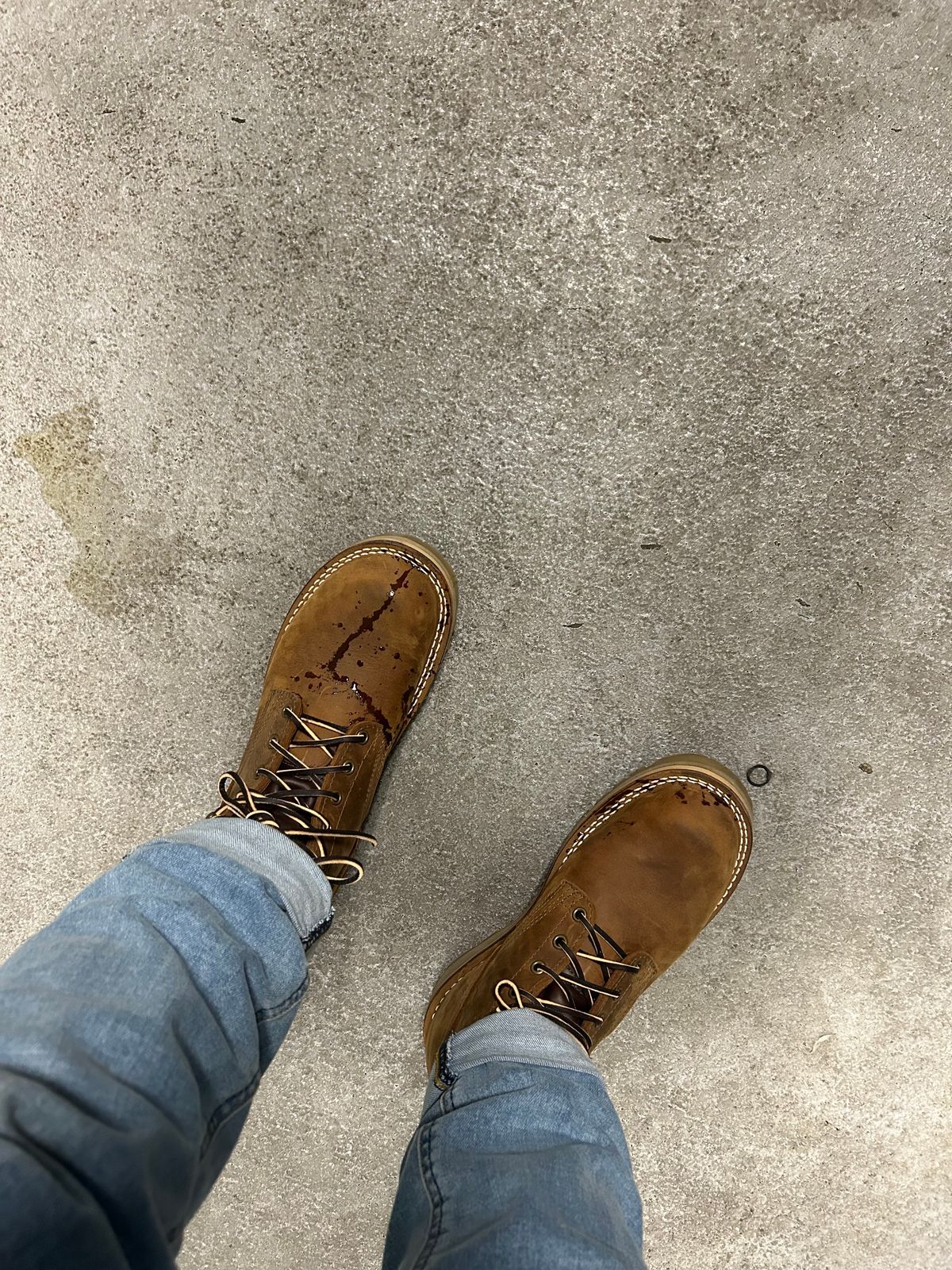 Photo by JackalJames on September 13, 2024 of the Nicks Turnbull in Seidel WeatherShield Brown.