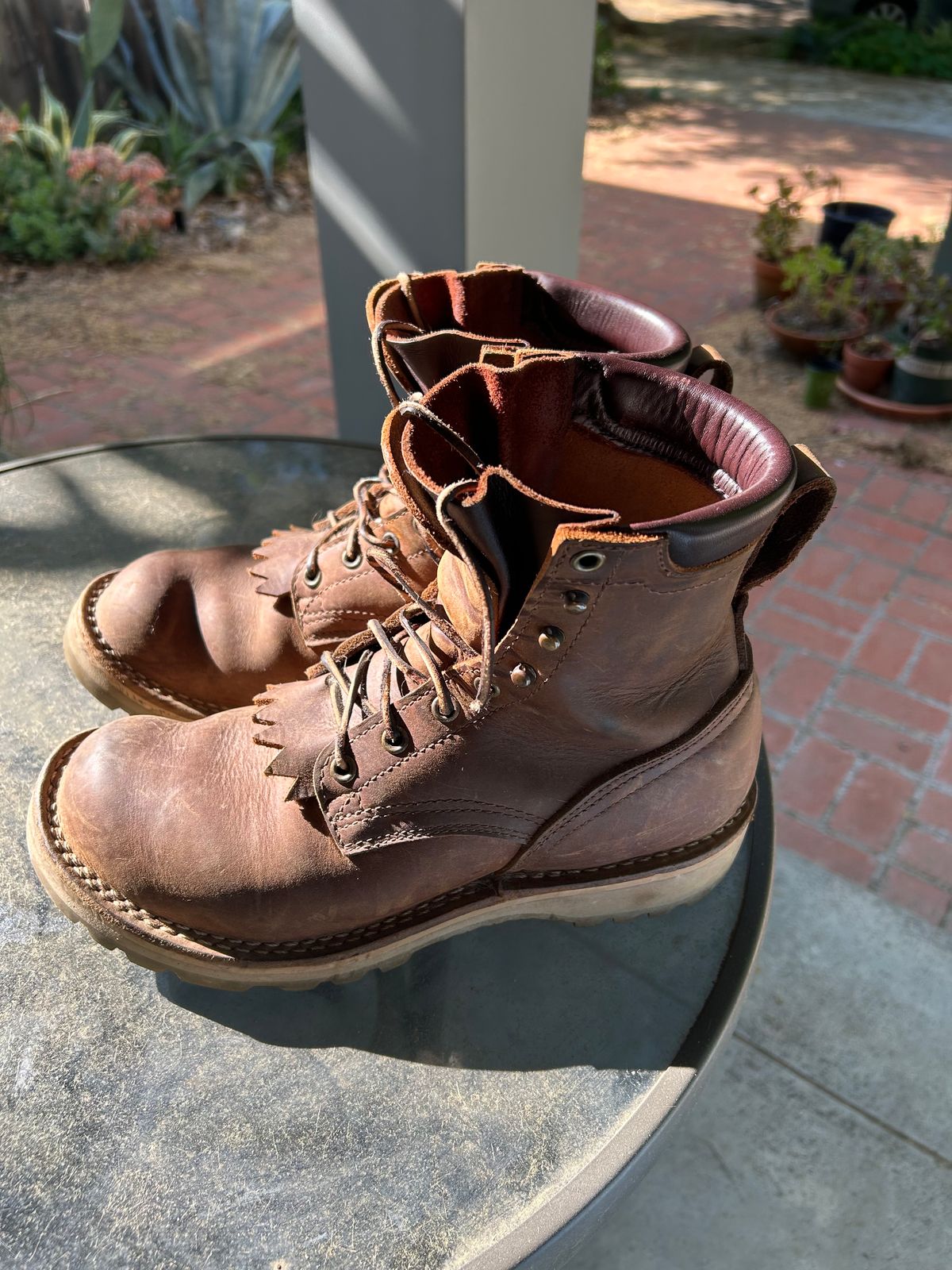 Photo by JackalJames on April 29, 2025 of the Nicks Turnbull in Seidel WeatherShield Brown.