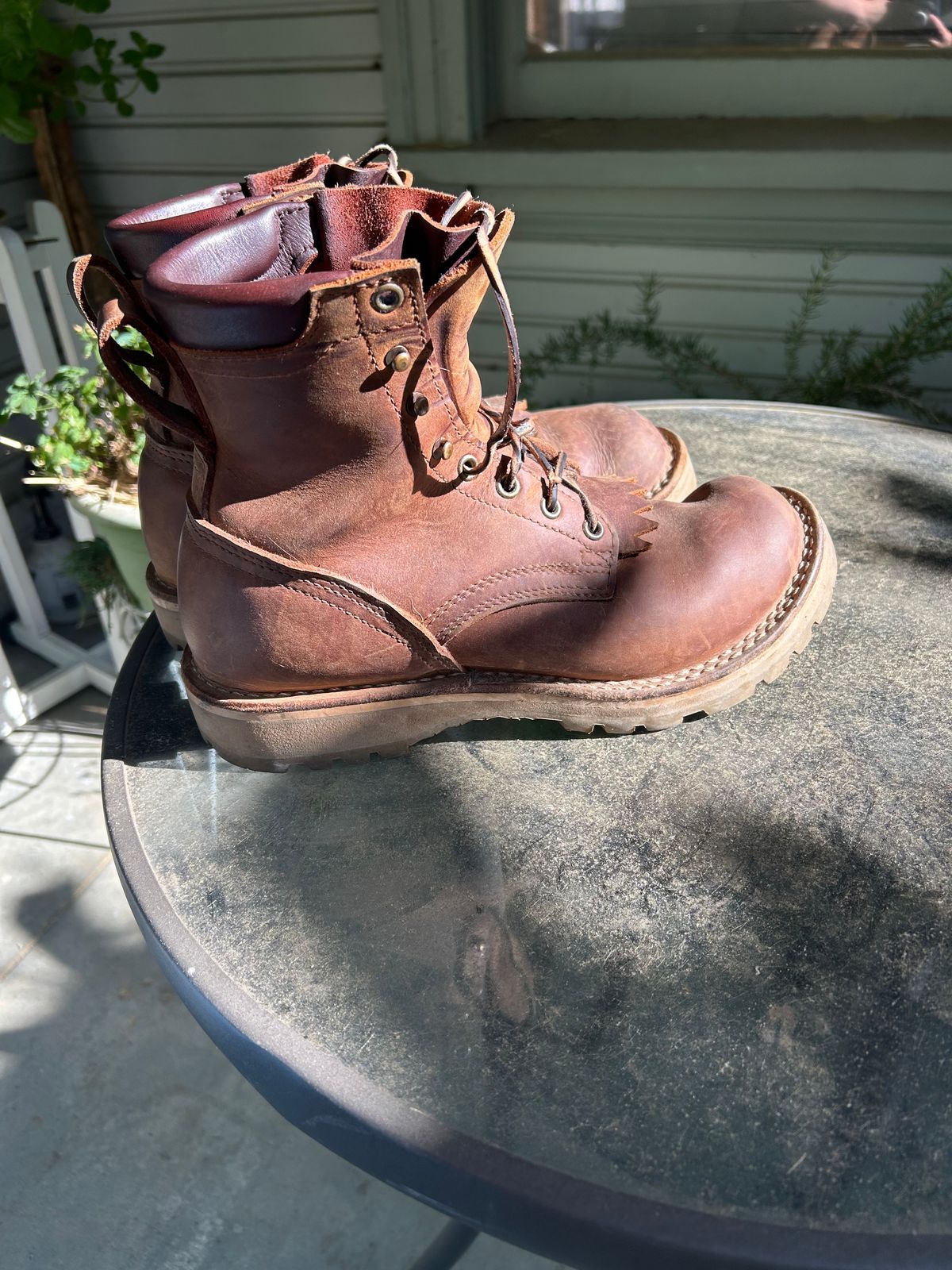 Photo by JackalJames on April 29, 2025 of the Nicks Turnbull in Seidel WeatherShield Brown.