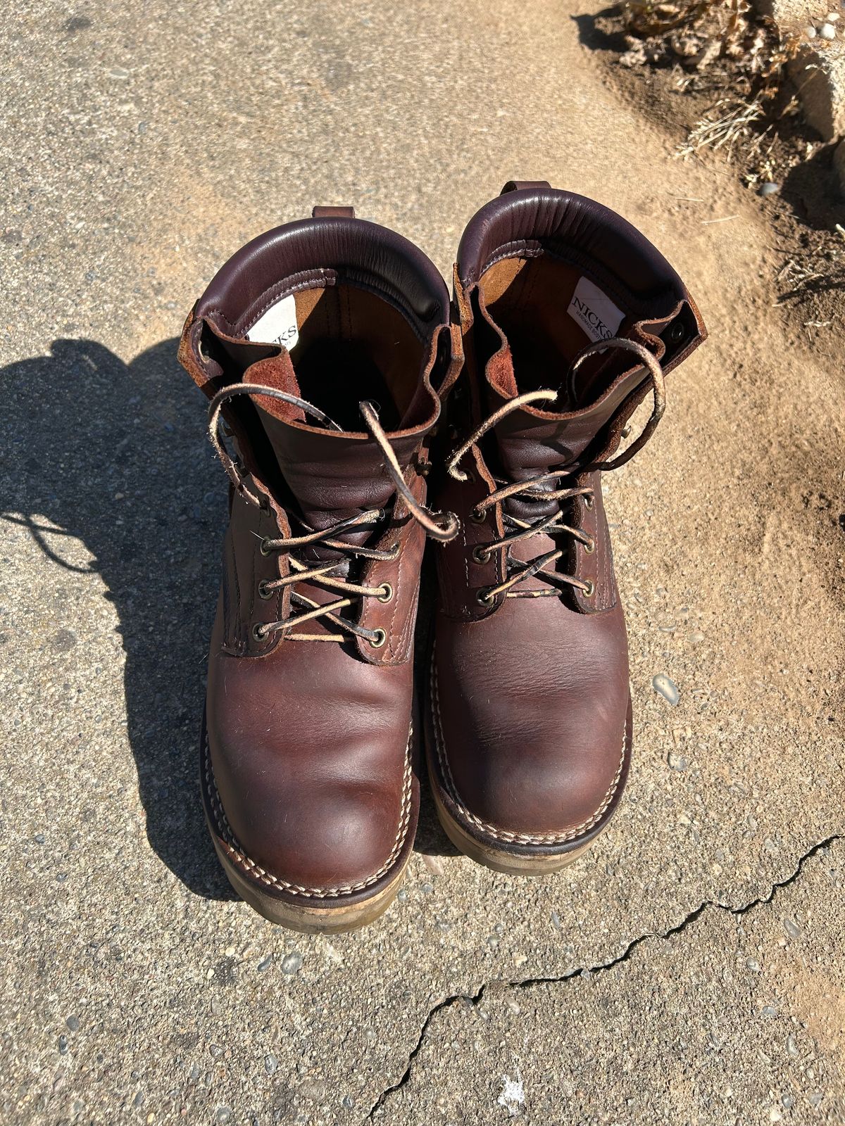 Photo by JackalJames on May 1, 2025 of the Nicks Turnbull in Seidel WeatherShield Brown.