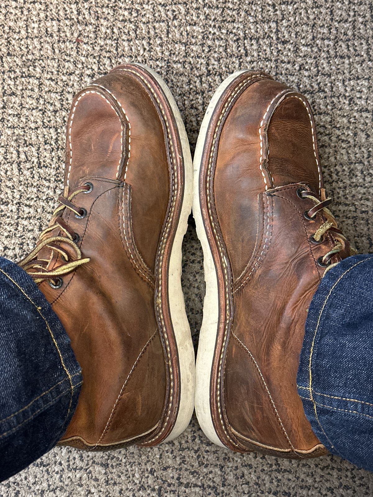 Photo by Nelot on June 26, 2024 of the Red Wing 6-Inch Classic Moc in S.B. Foot Copper Rough and Tough.