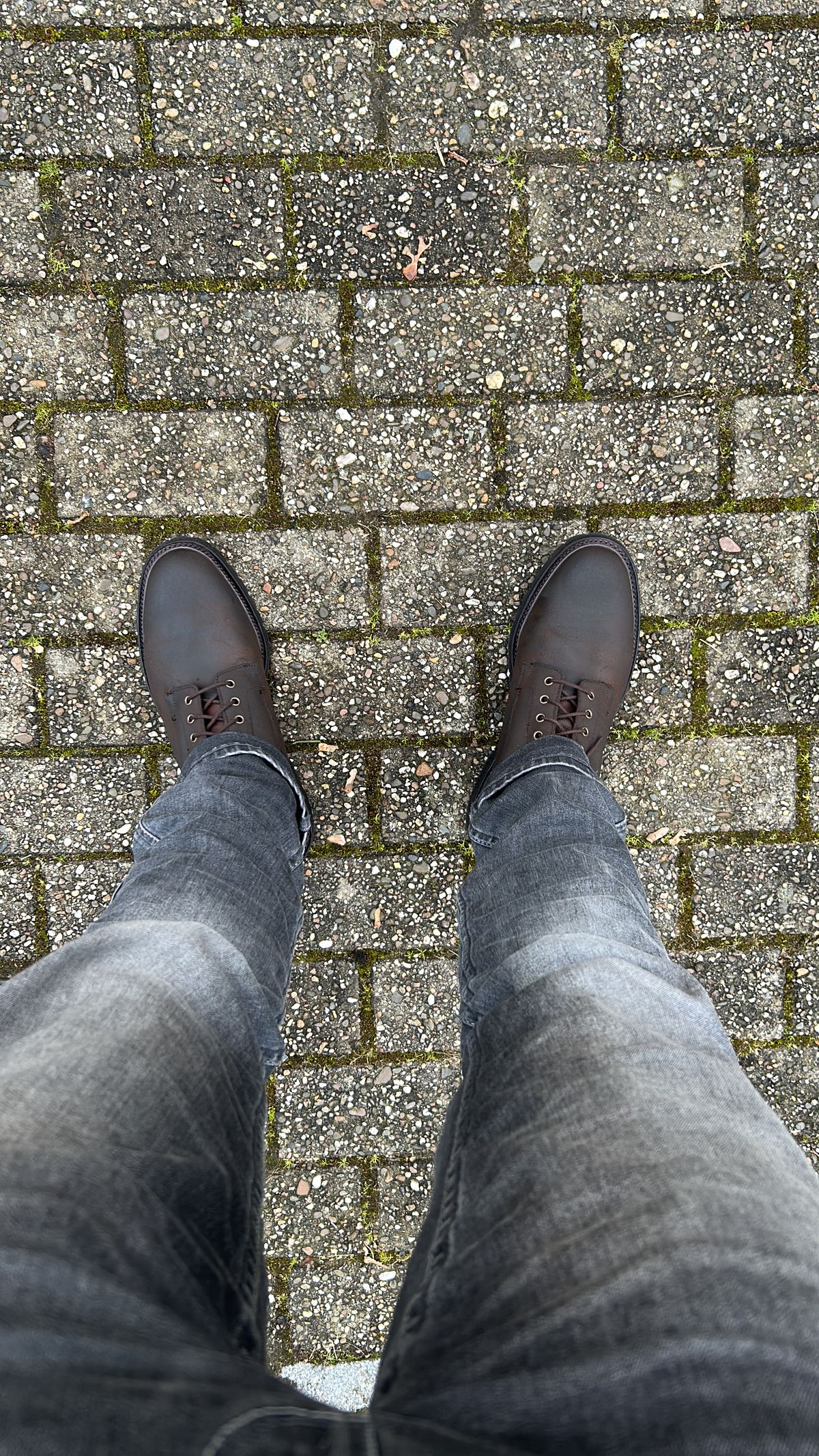 Photo by T_M_98 on February 16, 2023 of the Crockett & Jones Grizedale in Dark Brown Roughout Suede.