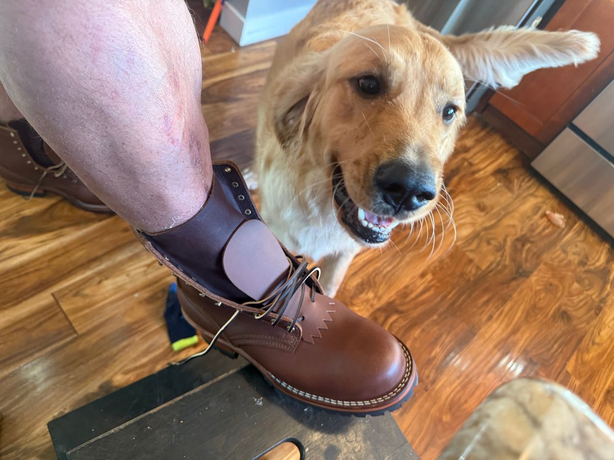 Photo by bigdaddyfoot on October 29, 2025 of the Nicks BuilderPro in Seidel 1964 Brown.