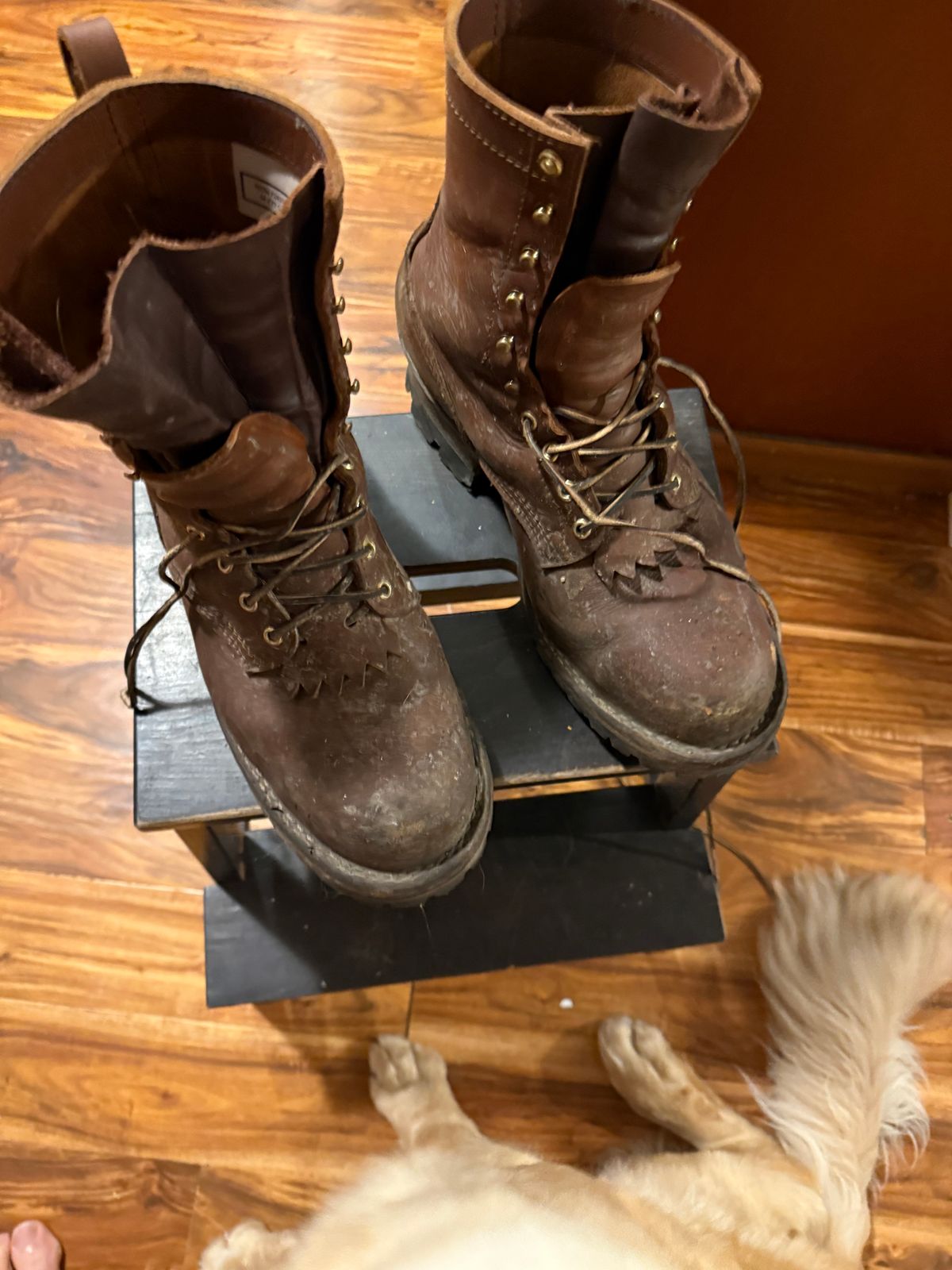 Photo by bigdaddyfoot on December 21, 2025 of the Nicks BuilderPro in Seidel 1964 Brown.