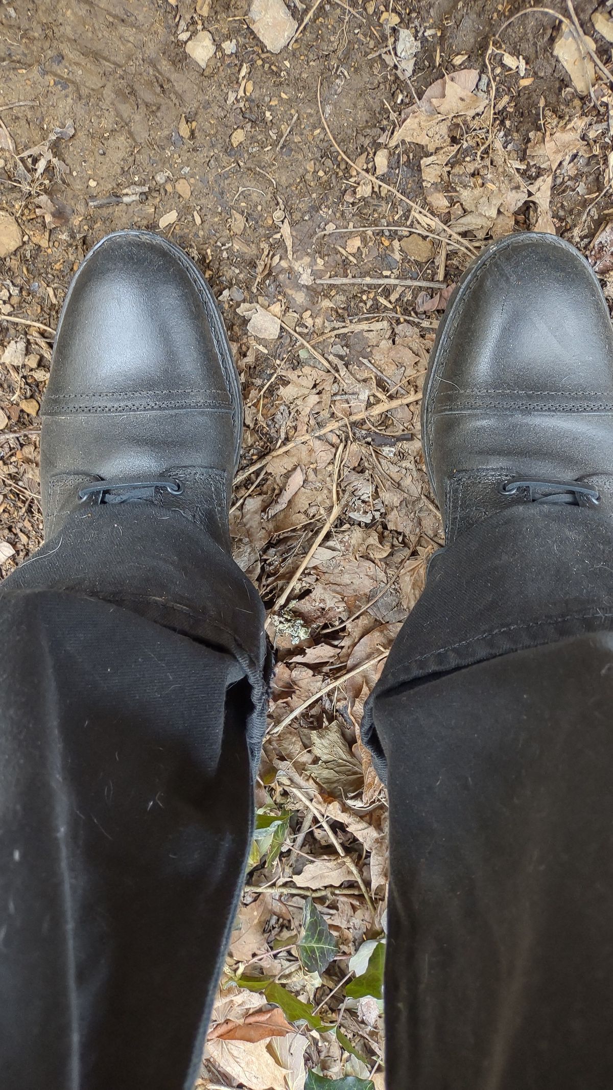 Photo by theklanch on March 14, 2025 of the Thursday Vanguard in Black Waxed Roughout.