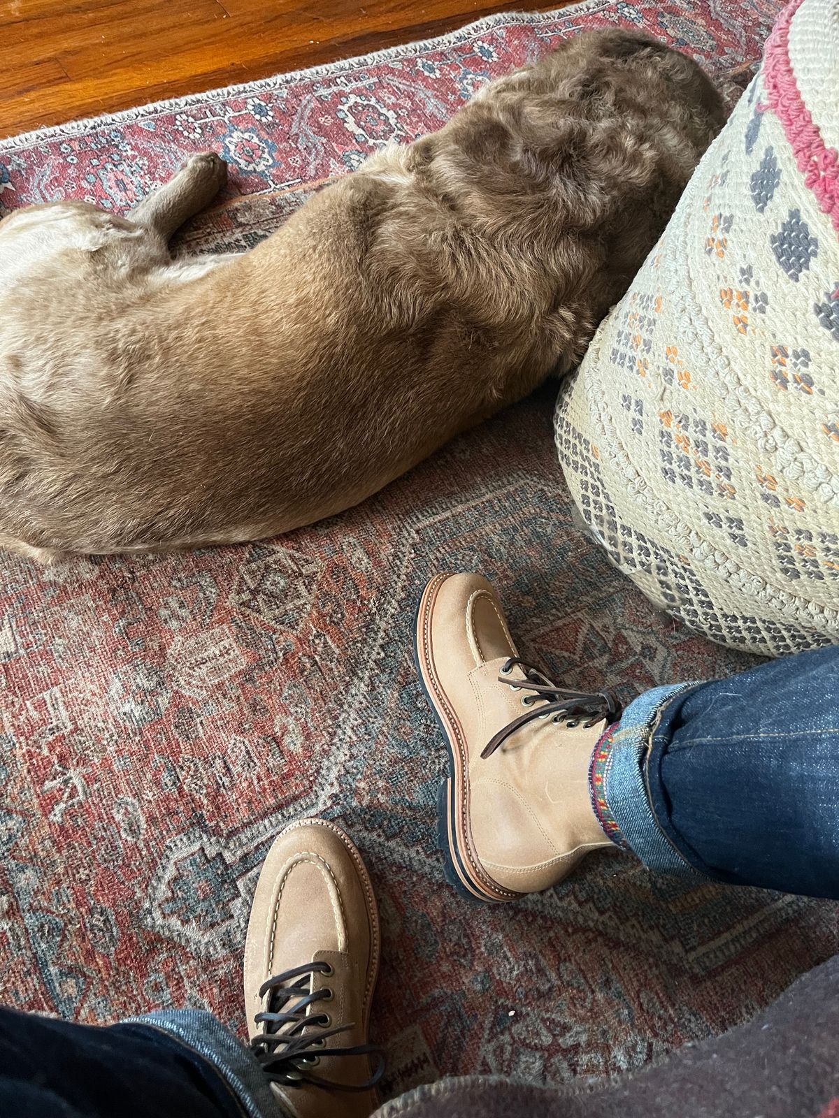 Photo by RgrDJ73 on March 25, 2026 of the Grant Stone Brass Boot in C.F. Stead Natural Waxy Commander Suede.