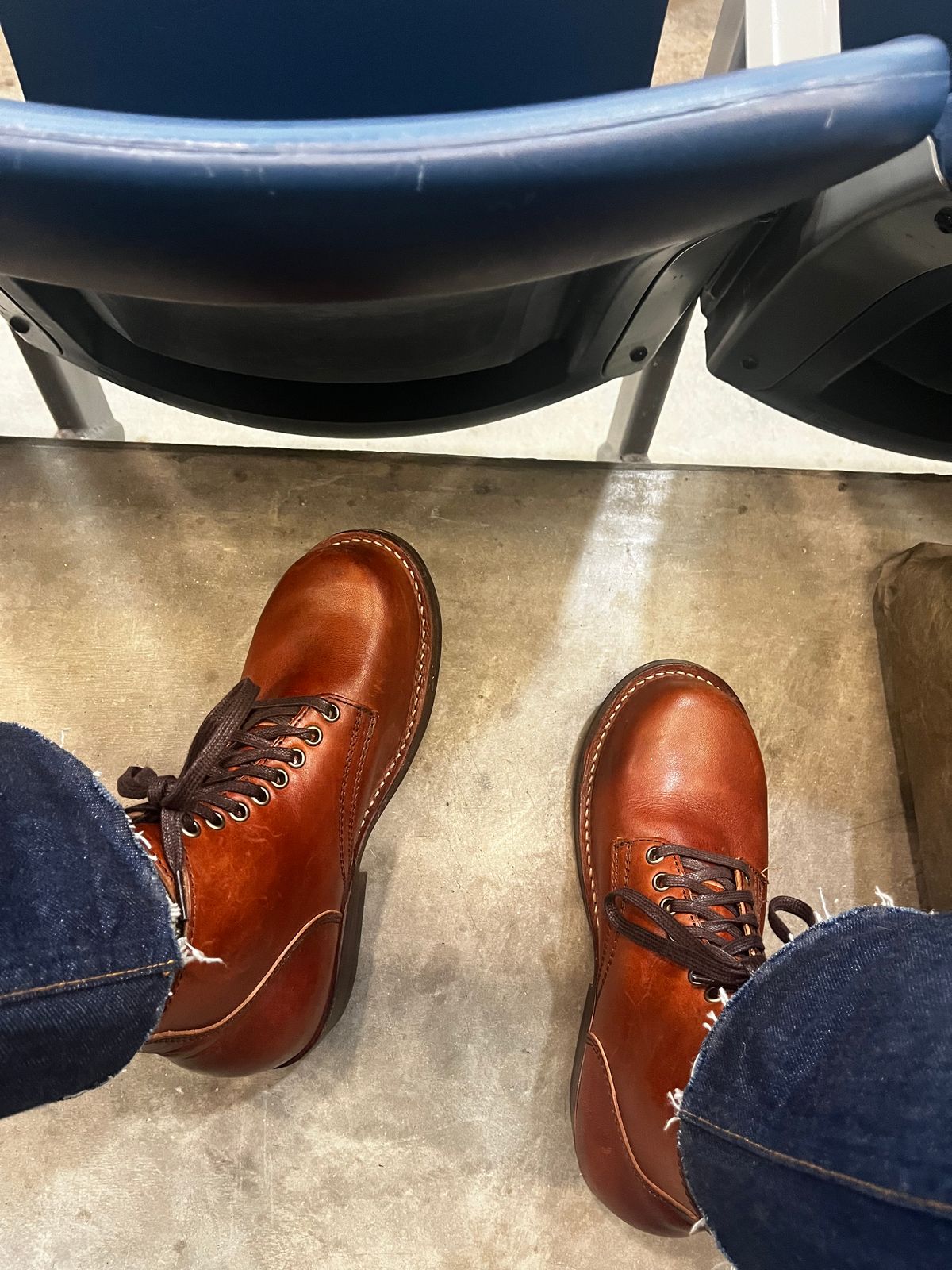 Photo by RgrDJ73 on March 20, 2026 of the Thursday Brawler in Wickett & Craig Medium Brown Traditional Harness.