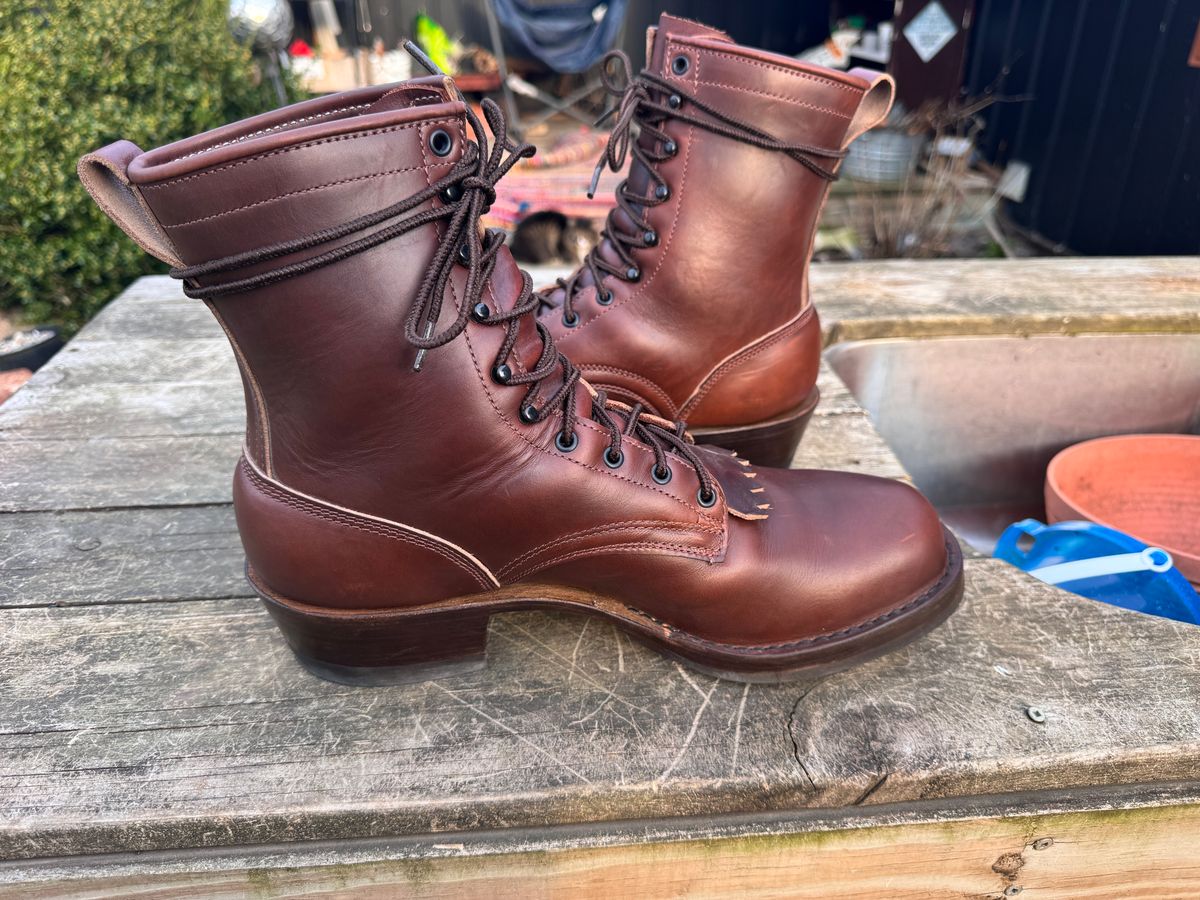 Photo by Indycecil on March 20, 2026 of the Frank's Boots Wilshire in Horween Timber Chromexcel.