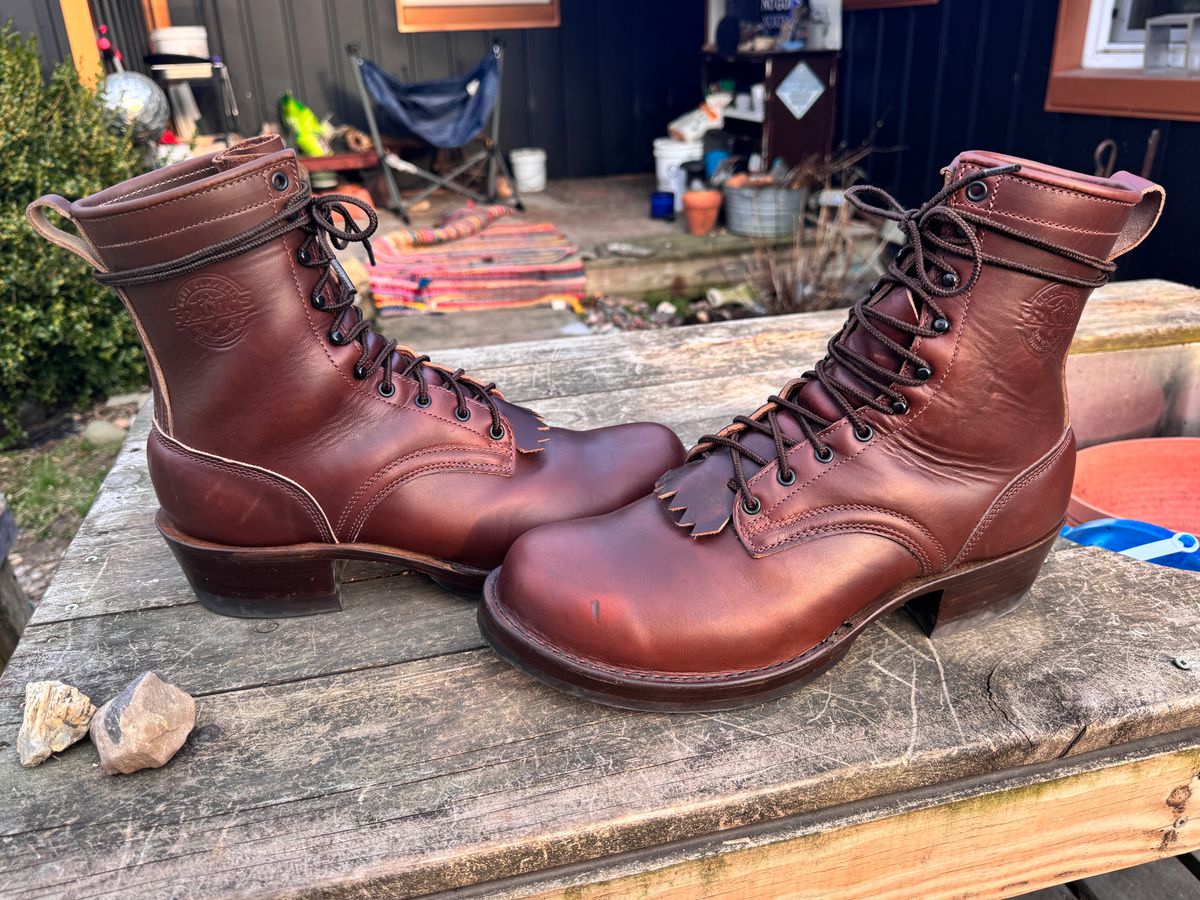 Photo by Indycecil on March 20, 2026 of the Frank's Boots Wilshire in Horween Timber Chromexcel.