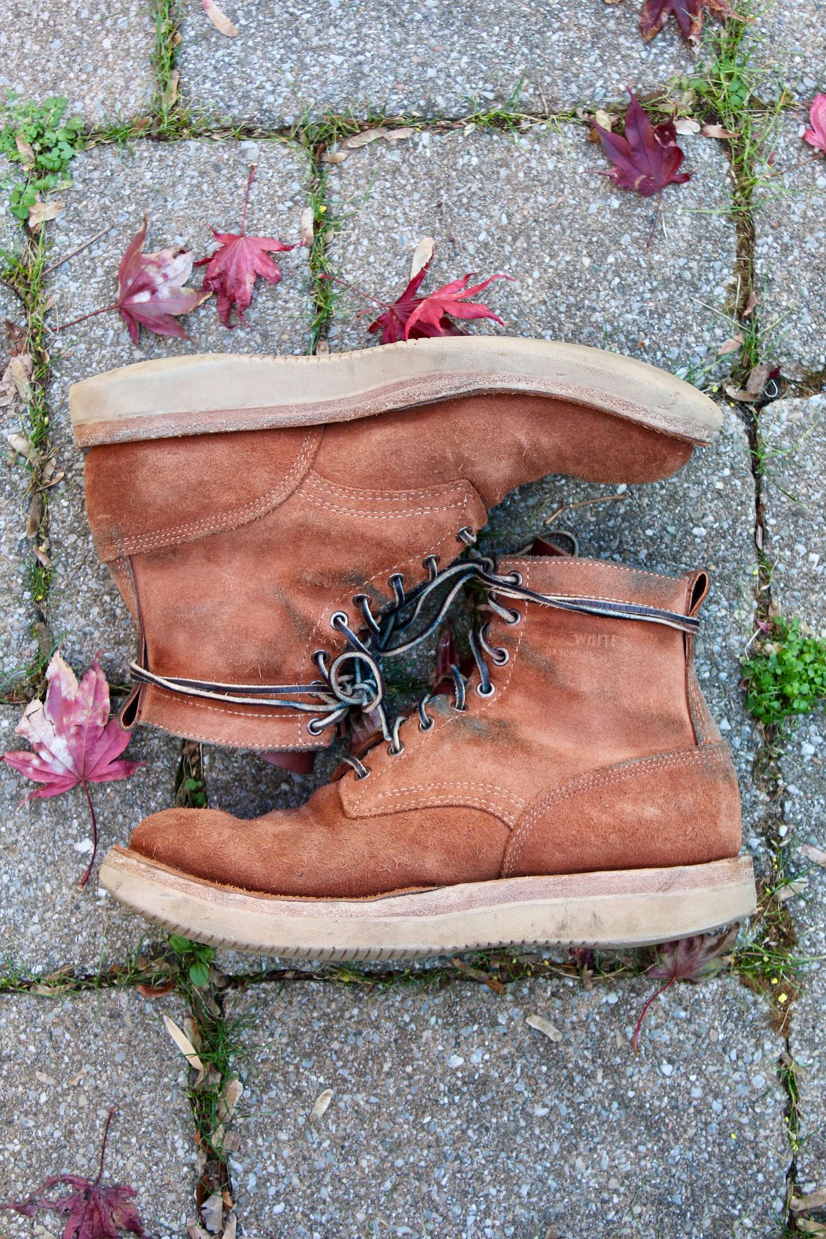 Photo by thecondemnedsole on December 4, 2024 of the White's C350-CS in Seidel Red Dog Oil Tan Roughout.