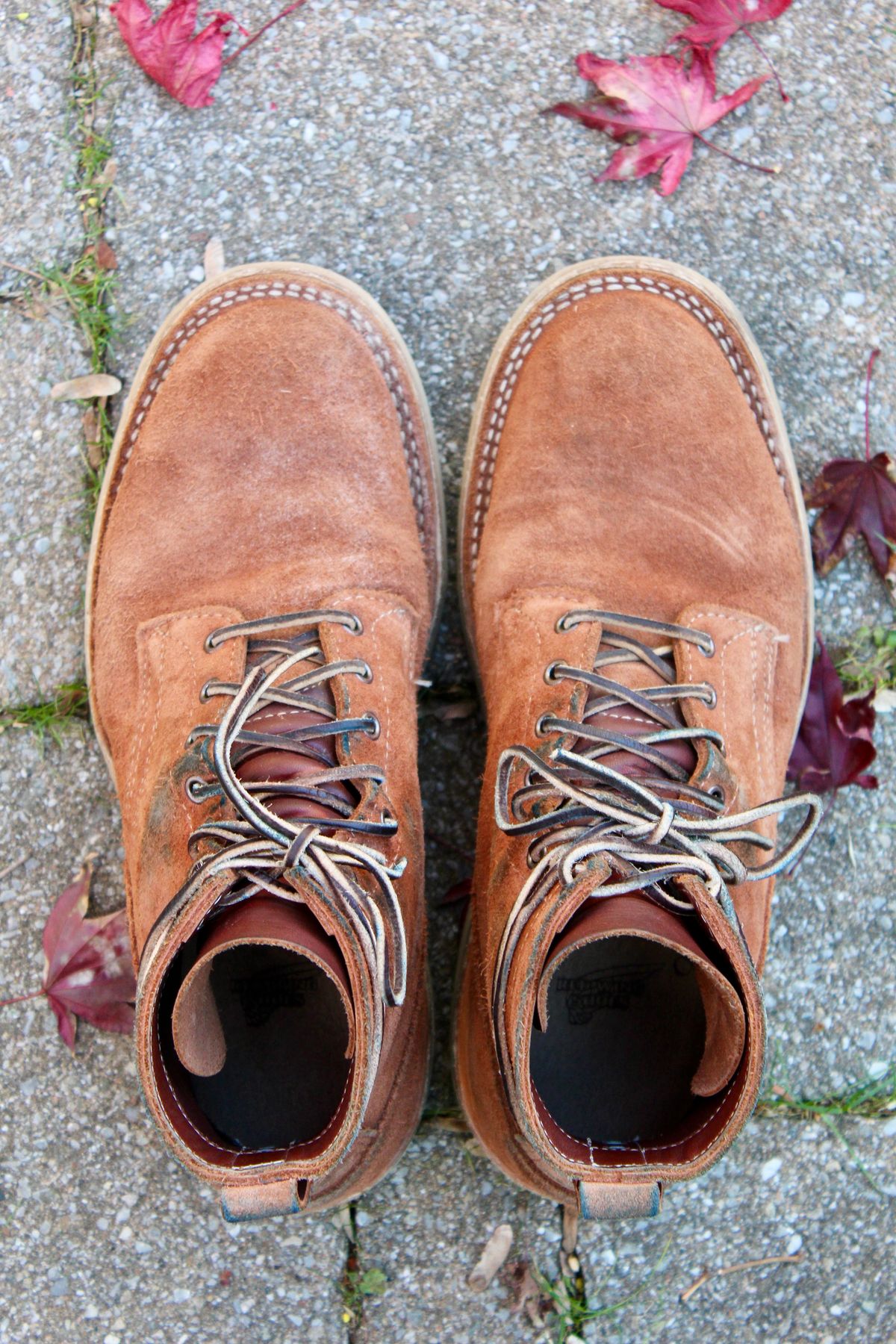 Photo by thecondemnedsole on December 4, 2024 of the White's C350-CS in Seidel Red Dog Oil Tan Roughout.