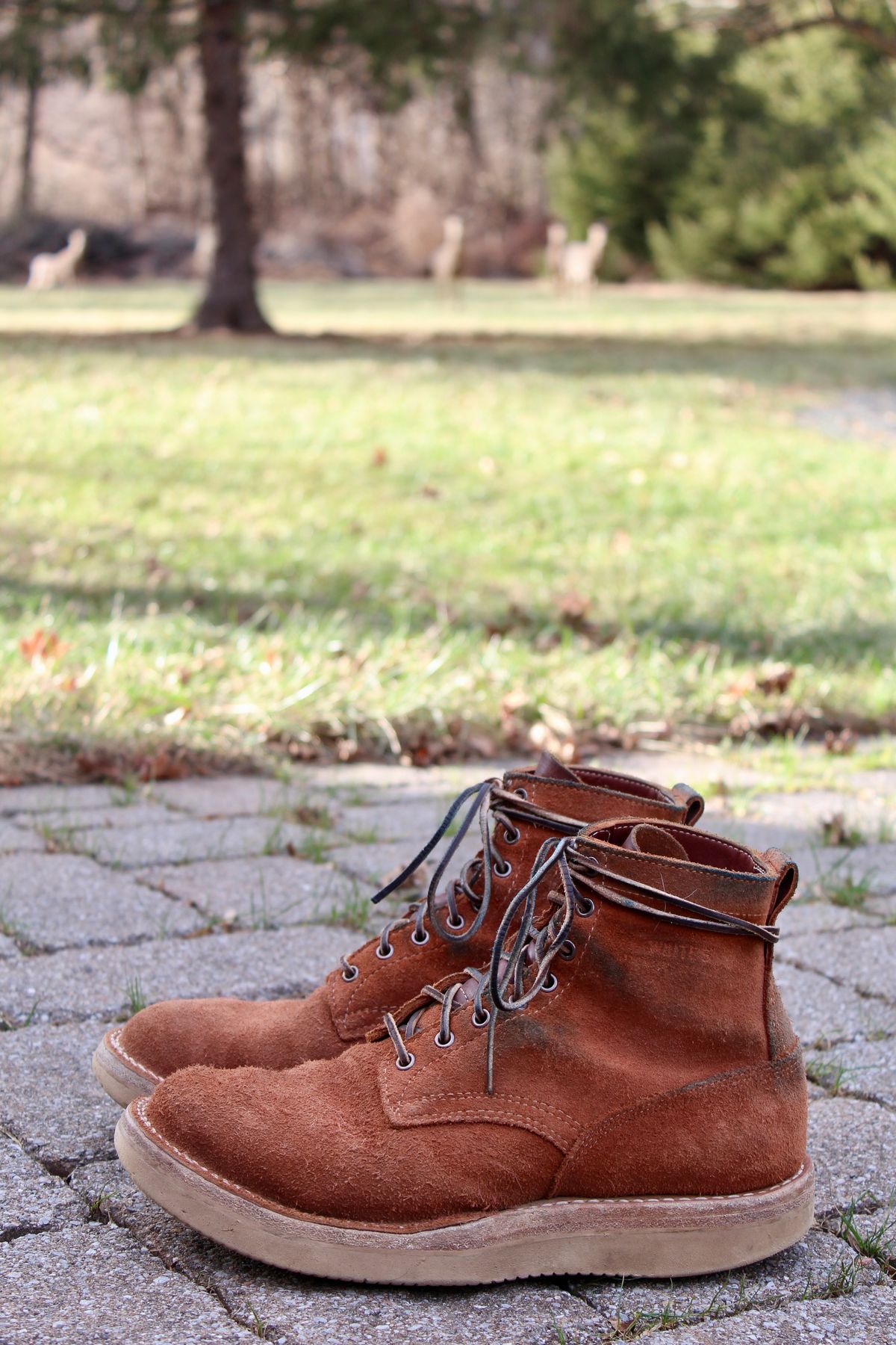 Photo by thecondemnedsole on January 5, 2025 of the White's C350-CS in Seidel Red Dog Oil Tan Roughout.