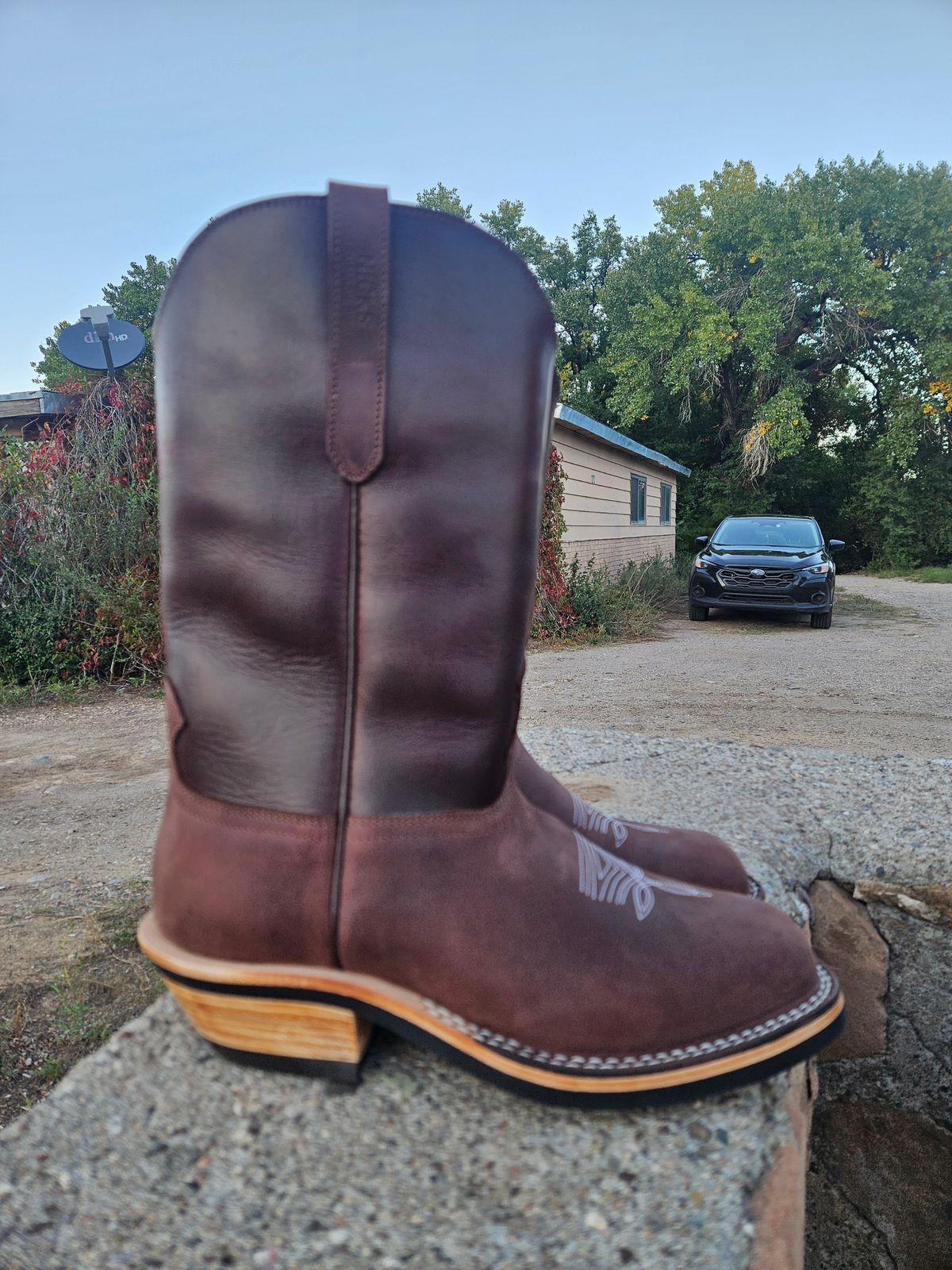 Photo by Sexual_Tyrannosaur on October 2, 2025 of the Nicks Palouse in Seidel 1964 Brown Double Shot & Seidel 1964 Walnut.