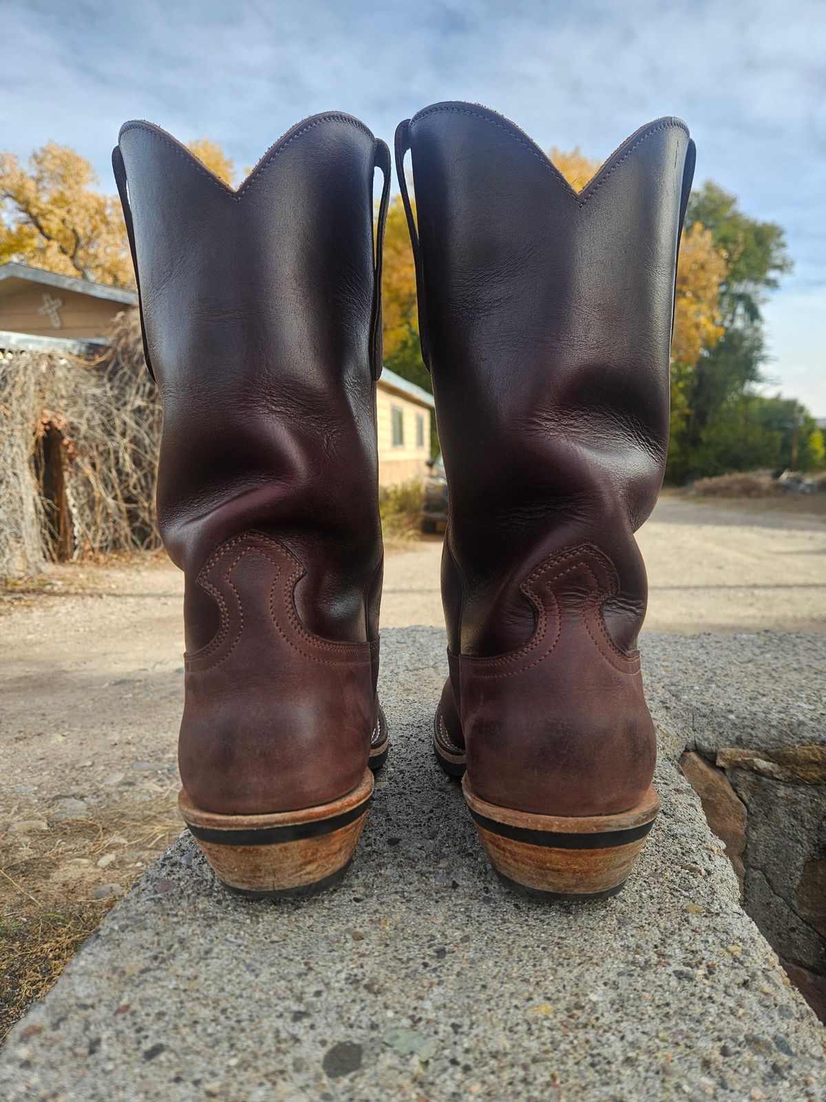Photo by Sexual_Tyrannosaur on November 1, 2025 of the Nicks Palouse in Seidel 1964 Brown Double Shot & Seidel 1964 Walnut.
