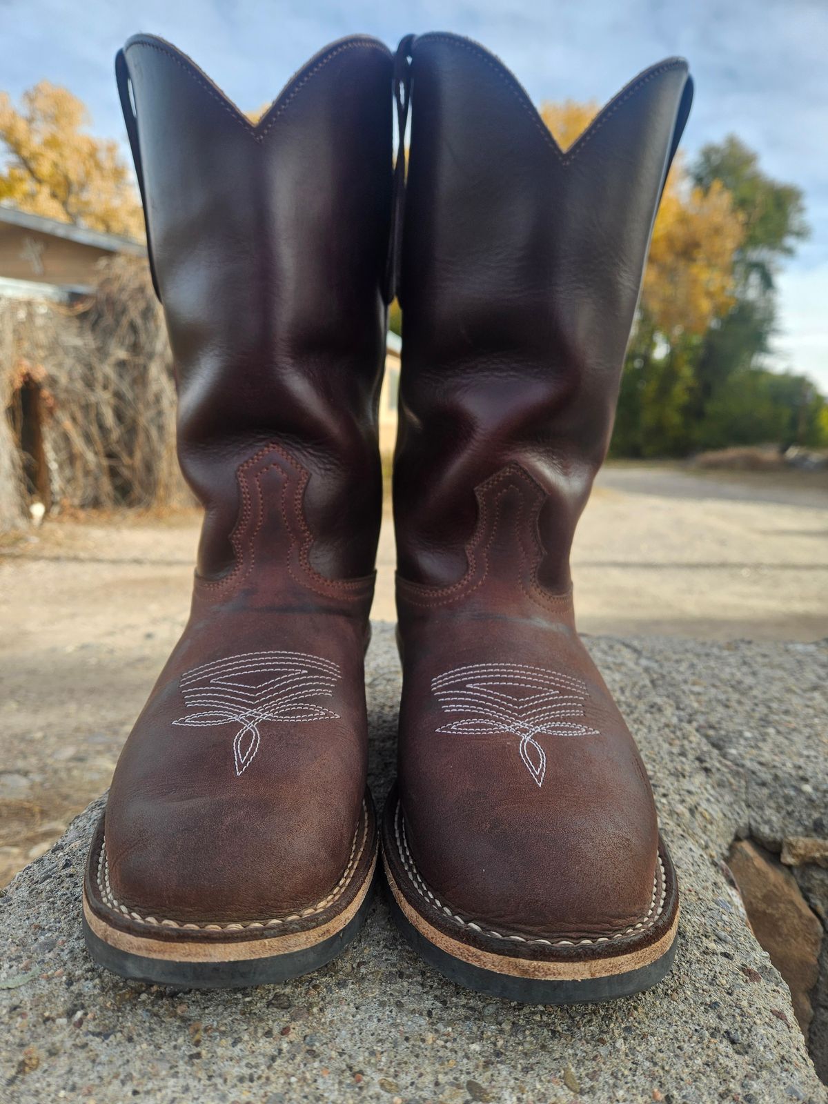 Photo by Sexual_Tyrannosaur on November 1, 2025 of the Nicks Palouse in Seidel 1964 Brown Double Shot & Seidel 1964 Walnut.