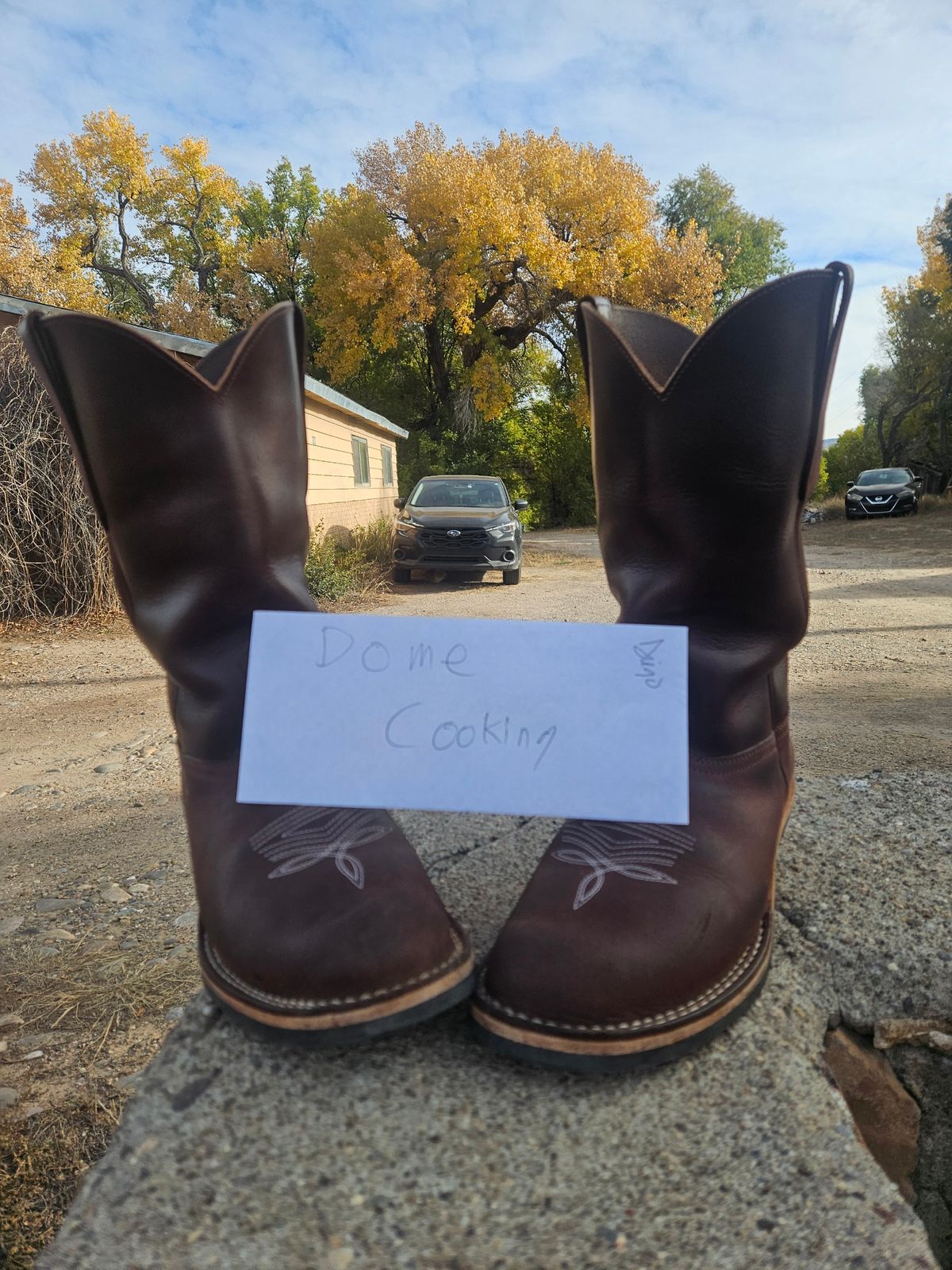 Photo by Sexual_Tyrannosaur on November 1, 2025 of the Nicks Palouse in Seidel 1964 Brown Double Shot & Seidel 1964 Walnut.