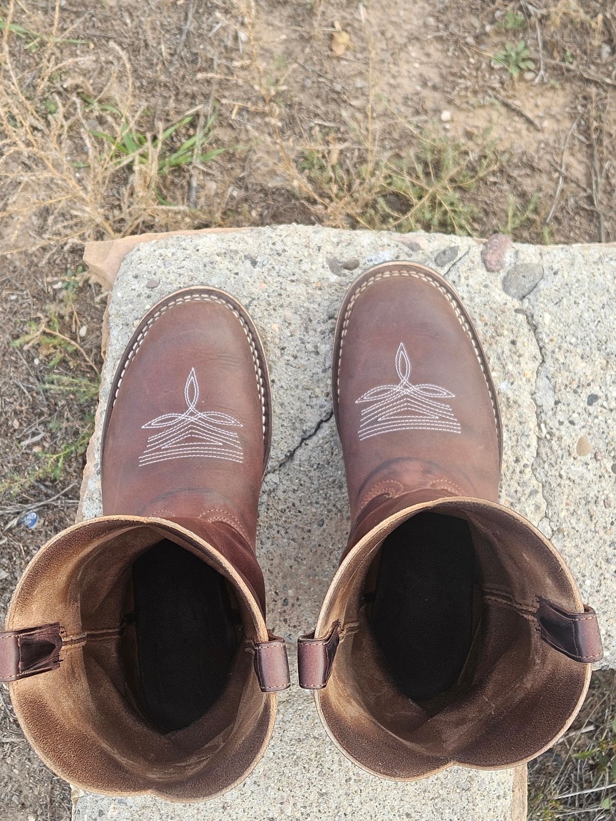 Photo by Sexual_Tyrannosaur on November 1, 2025 of the Nicks Palouse in Seidel 1964 Brown Double Shot & Seidel 1964 Walnut.
