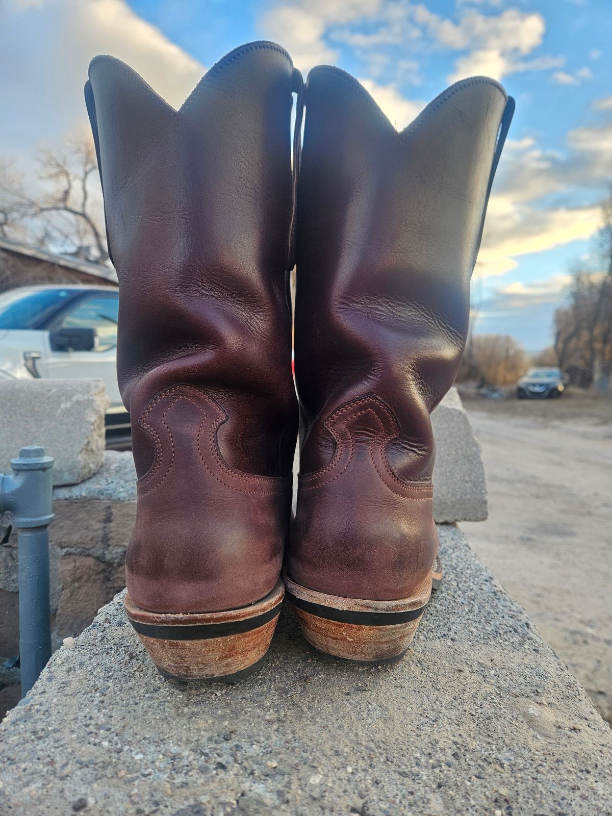 Photo by Sexual_Tyrannosaur on December 4, 2025 of the Nicks Palouse in Seidel 1964 Brown Double Shot & Seidel 1964 Walnut.