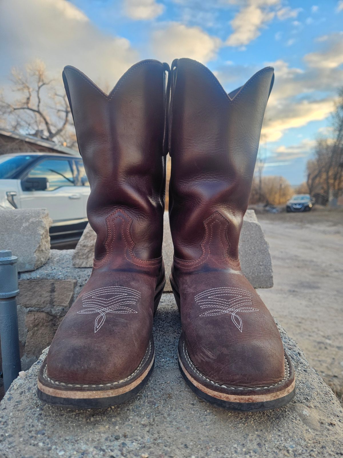 Photo by Sexual_Tyrannosaur on December 4, 2025 of the Nicks Palouse in Seidel 1964 Brown Double Shot & Seidel 1964 Walnut.