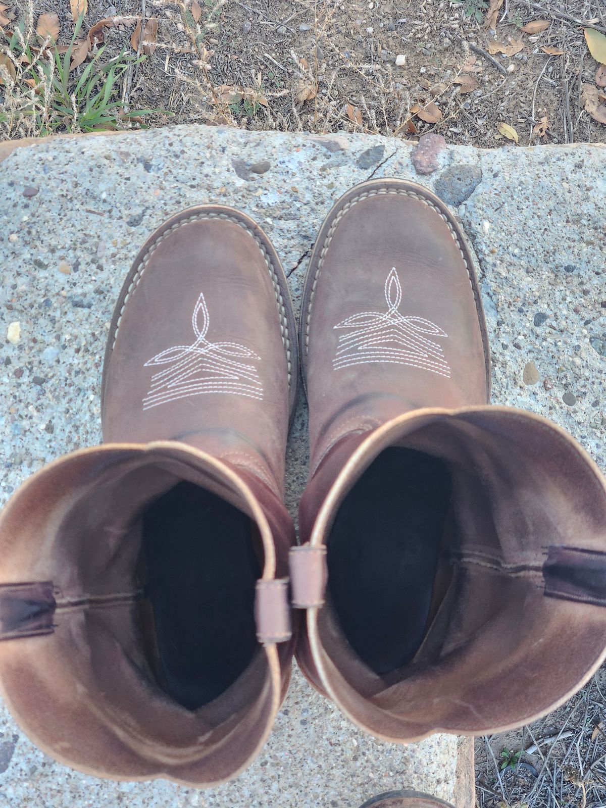 Photo by Sexual_Tyrannosaur on December 4, 2025 of the Nicks Palouse in Seidel 1964 Brown Double Shot & Seidel 1964 Walnut.