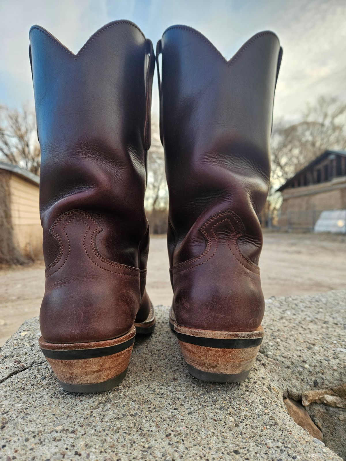 Photo by Sexual_Tyrannosaur on January 5, 2026 of the Nicks Palouse in Seidel 1964 Brown Double Shot & Seidel 1964 Walnut.