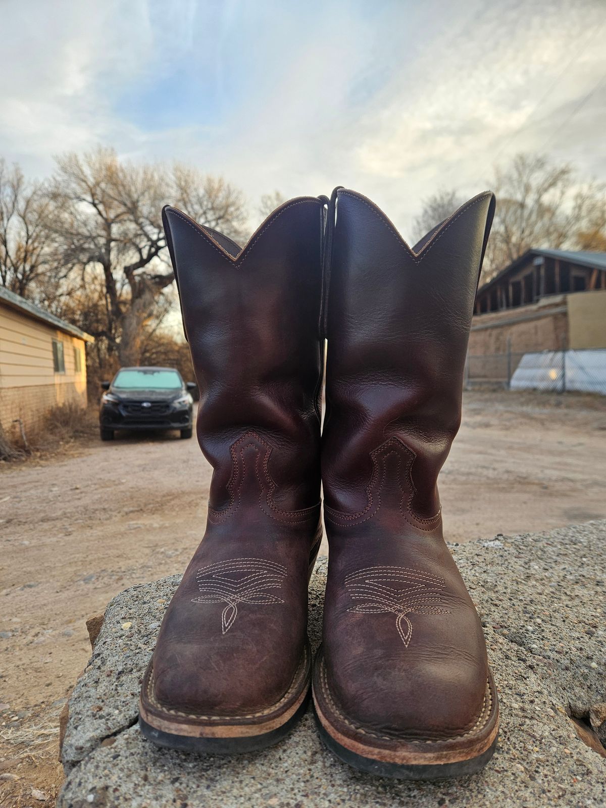 Photo by Sexual_Tyrannosaur on January 5, 2026 of the Nicks Palouse in Seidel 1964 Brown Double Shot & Seidel 1964 Walnut.